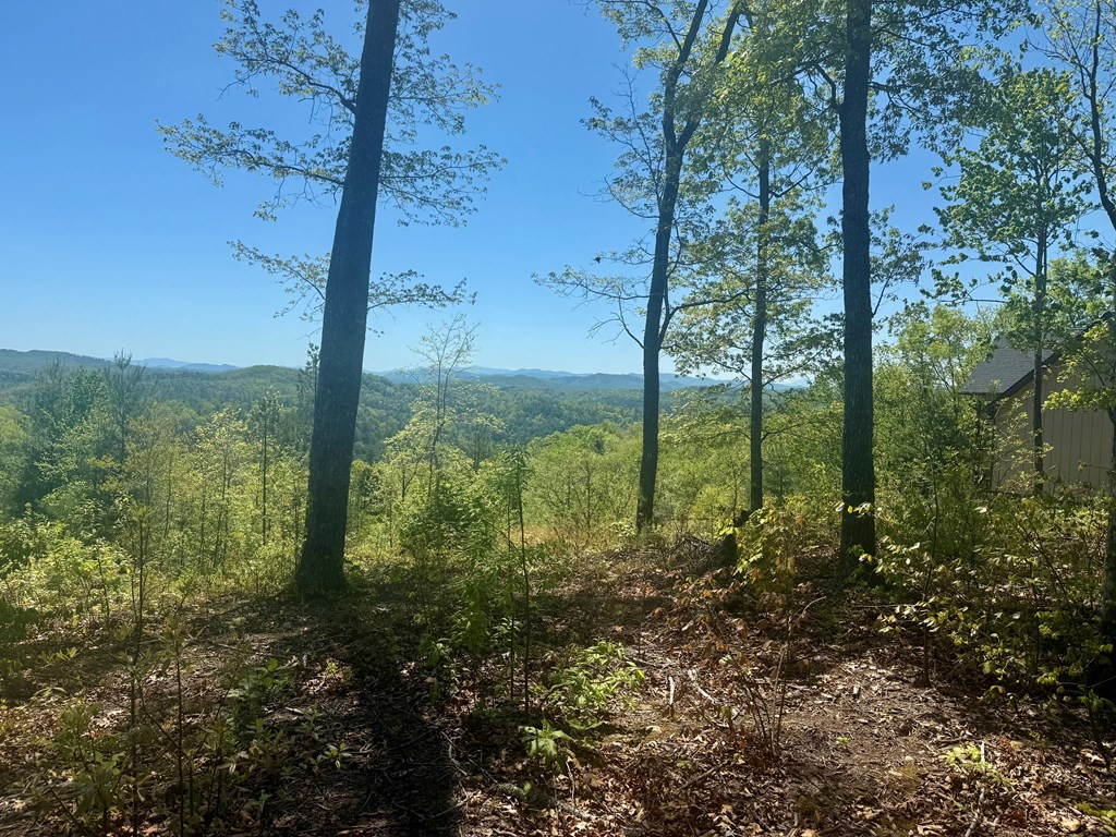 Exterior photo of 0 Wayah Ridge, Murphy, NC 28906. MLS: 98544262