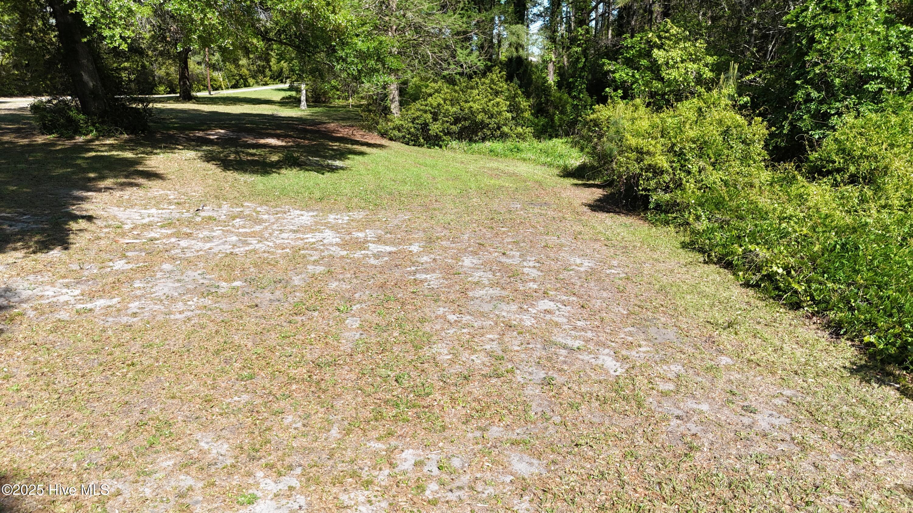 100501855 | Photo 10