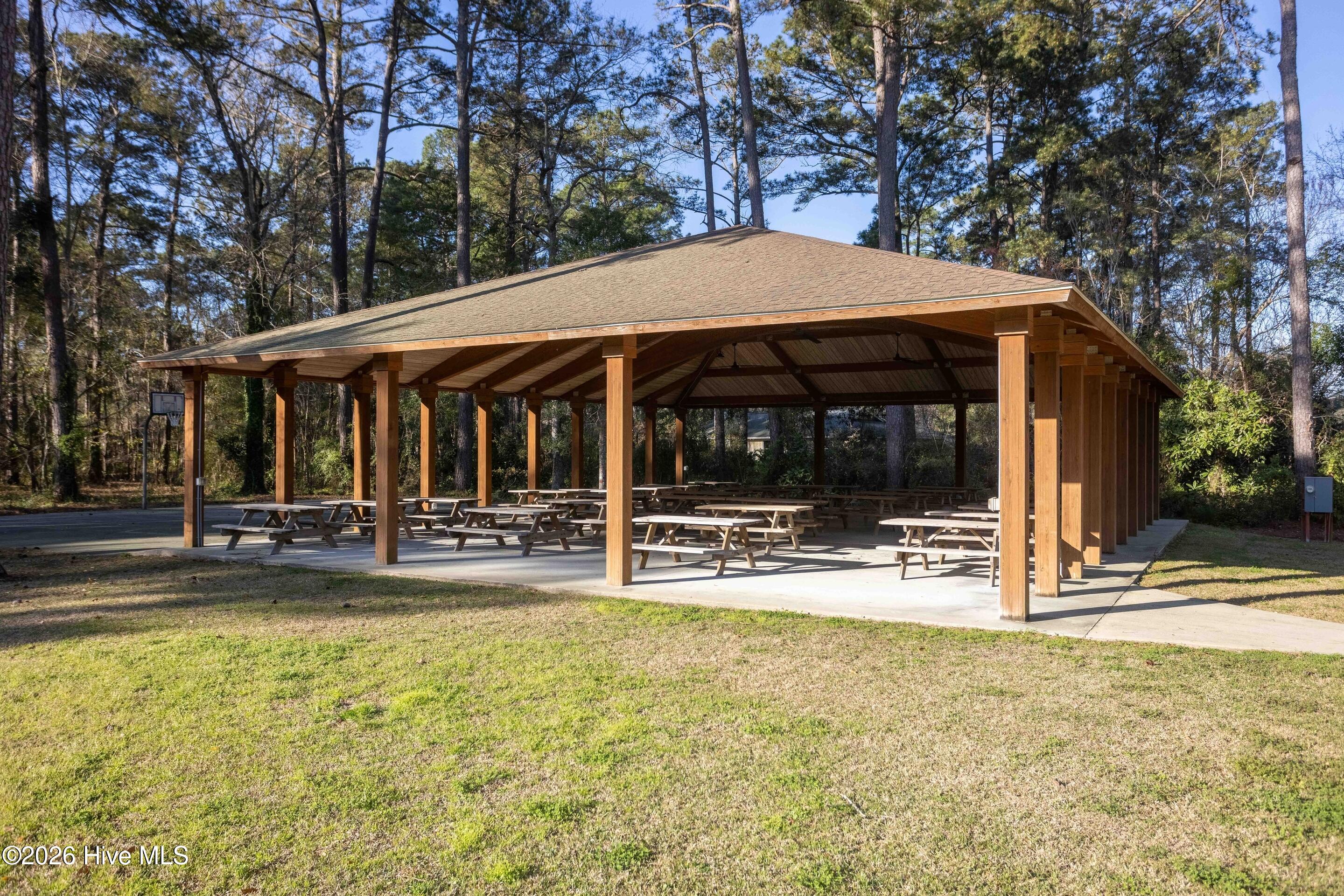 100568652 | Photo 38