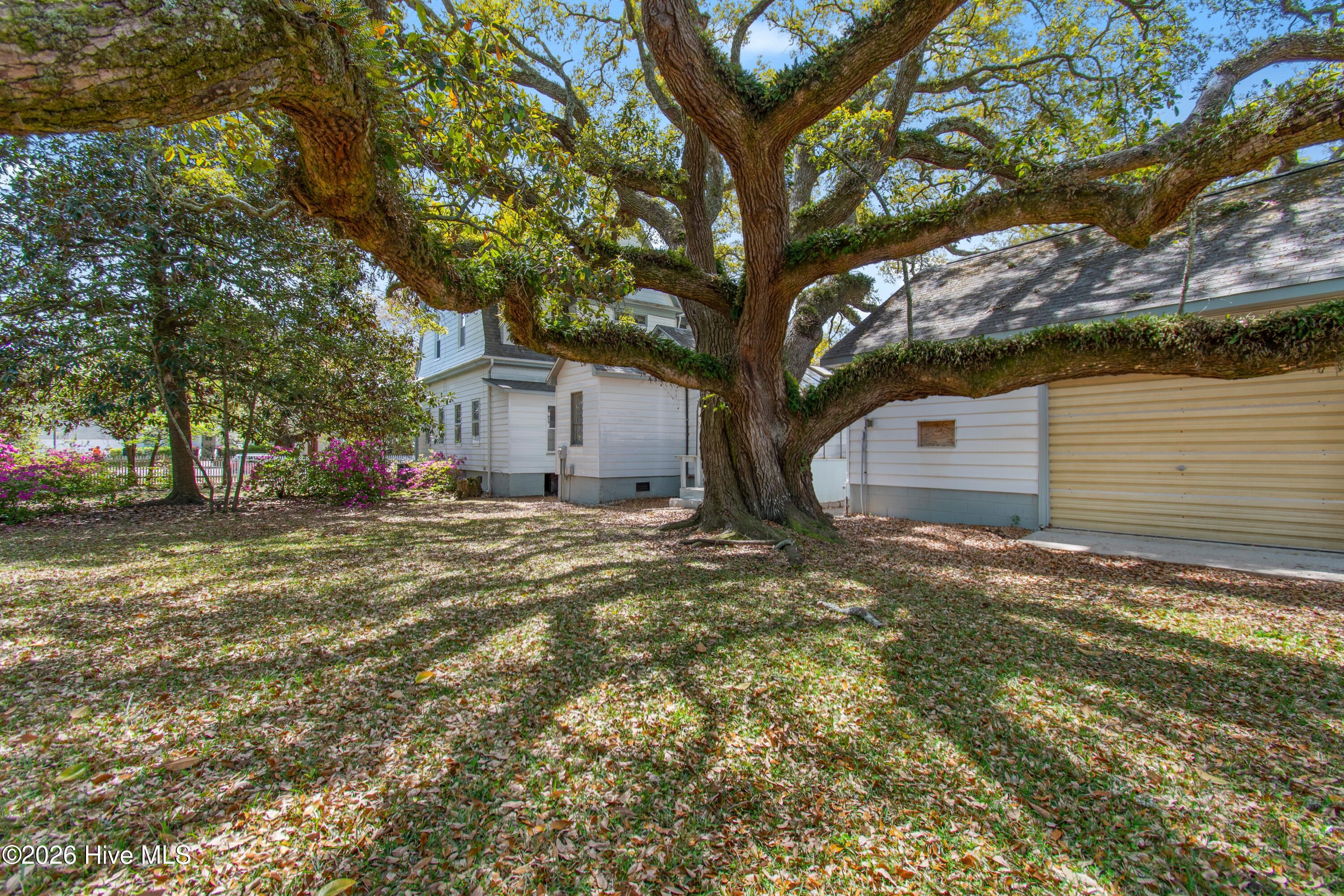 100566206 | Photo 67