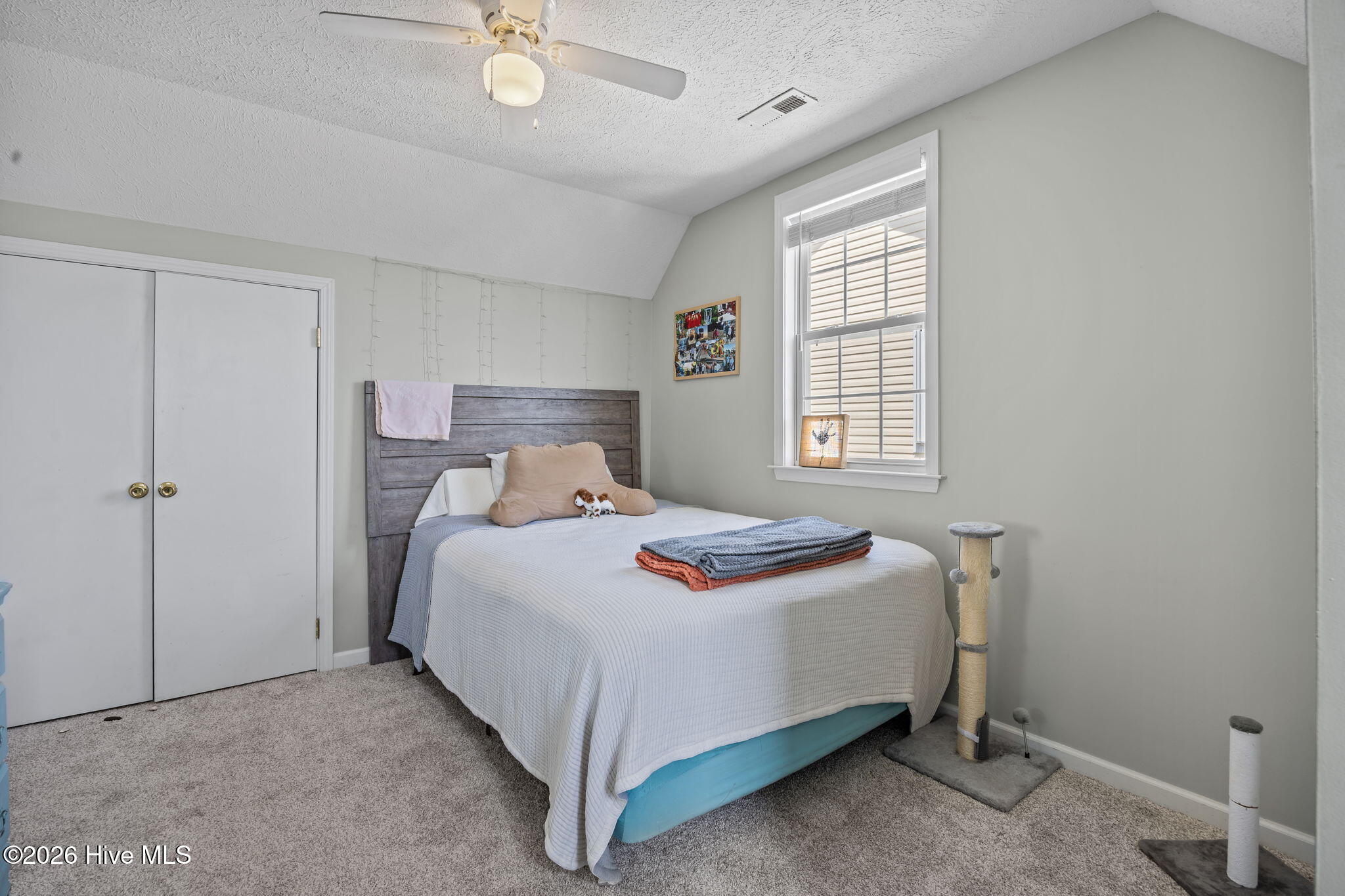 100566425 | Photo 24