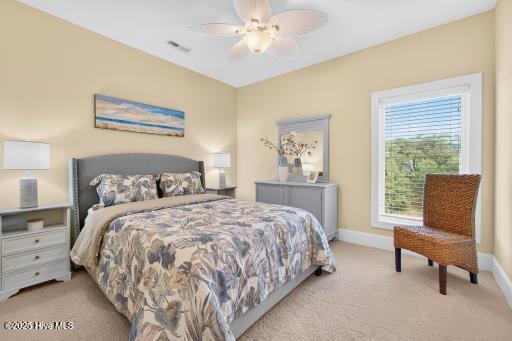 100531498 | Photo 18