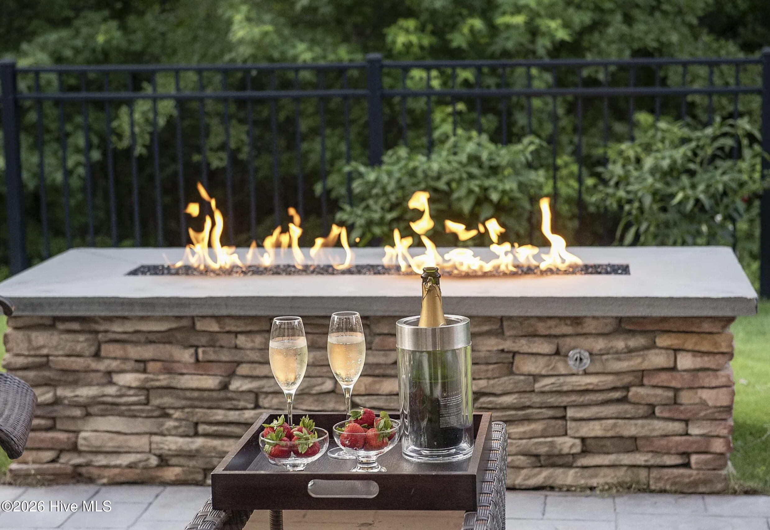 100563129 | Photo 39