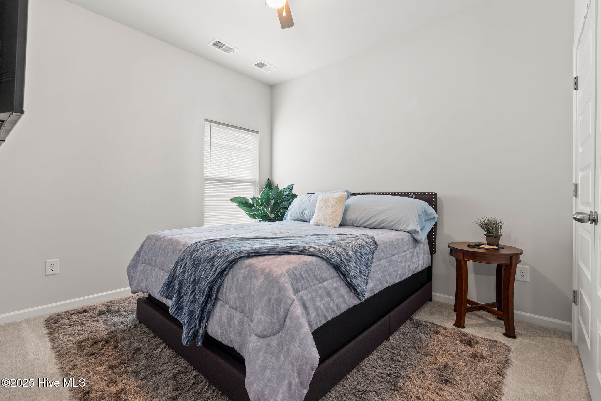 100516029 | Photo 24