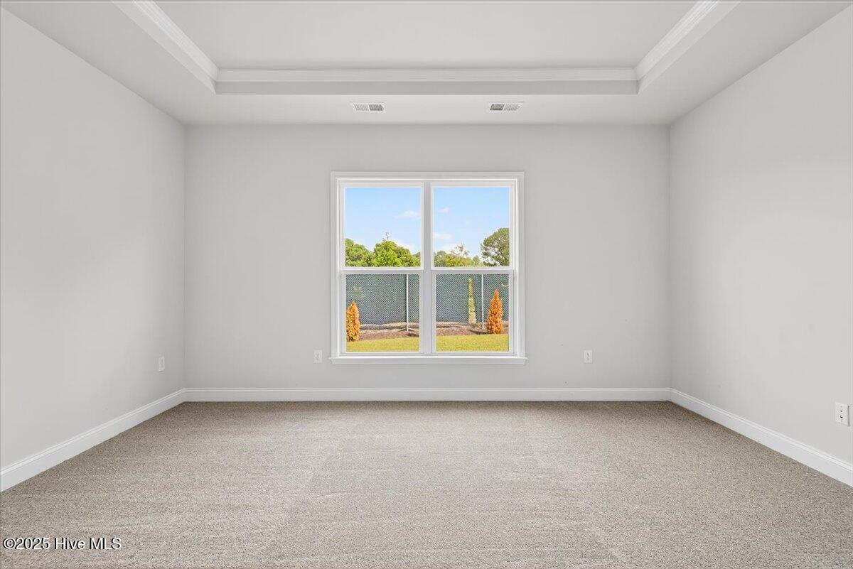 100532421 | Photo 21