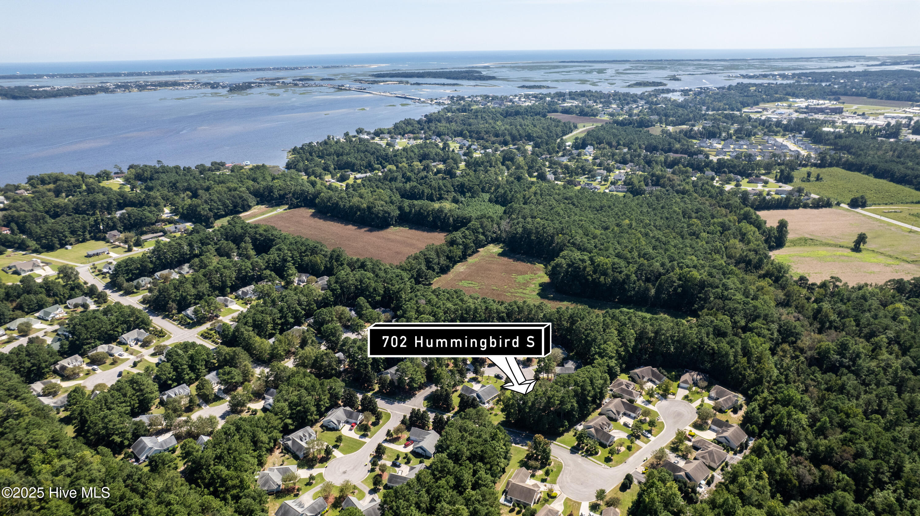 702 Hummingbird 
