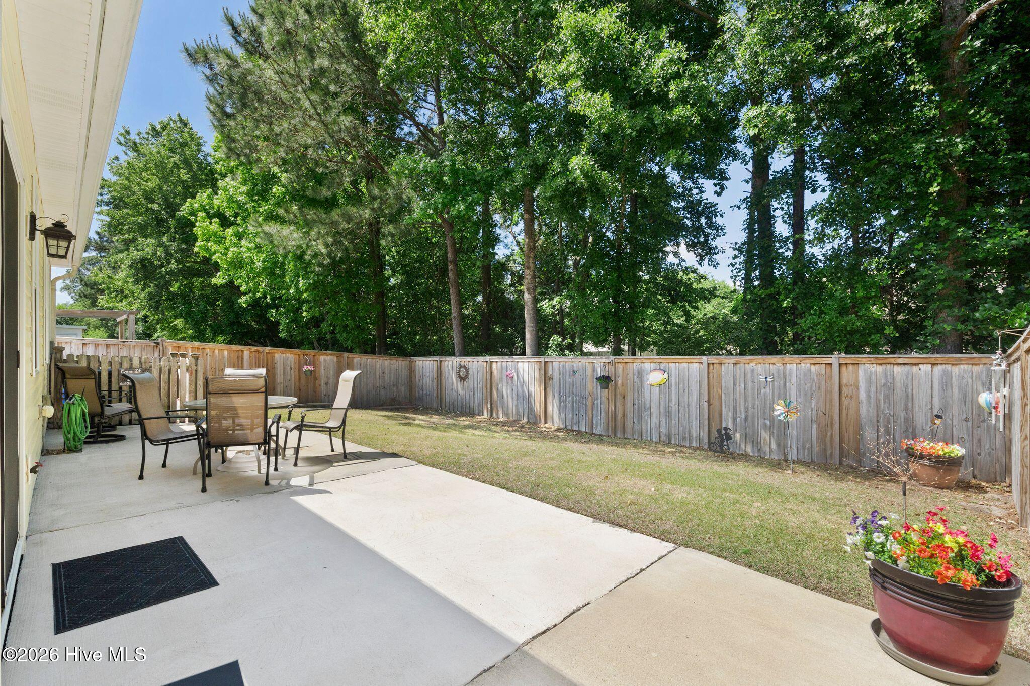 100570513 | Photo 41