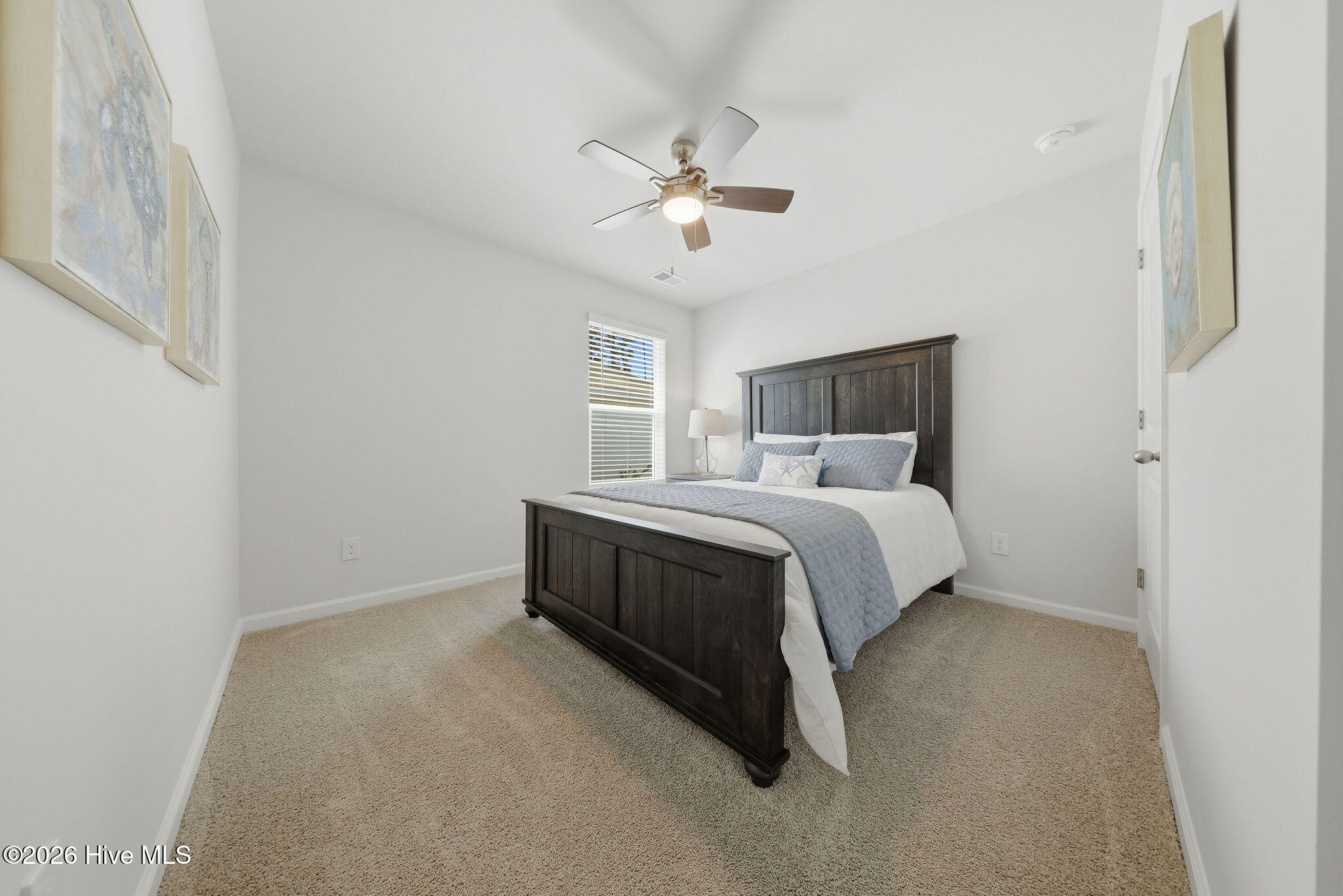 100568433 | Photo 11