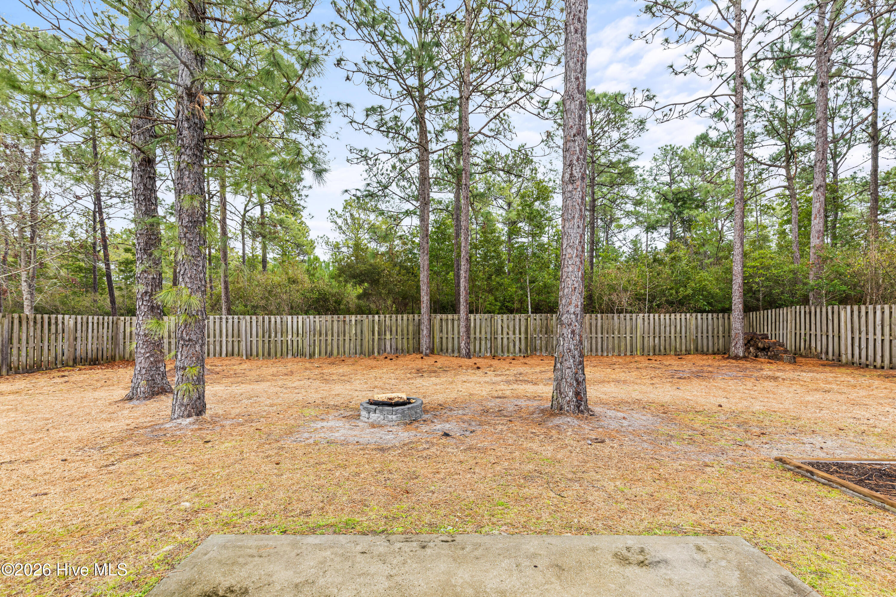 100557178 | Photo 27