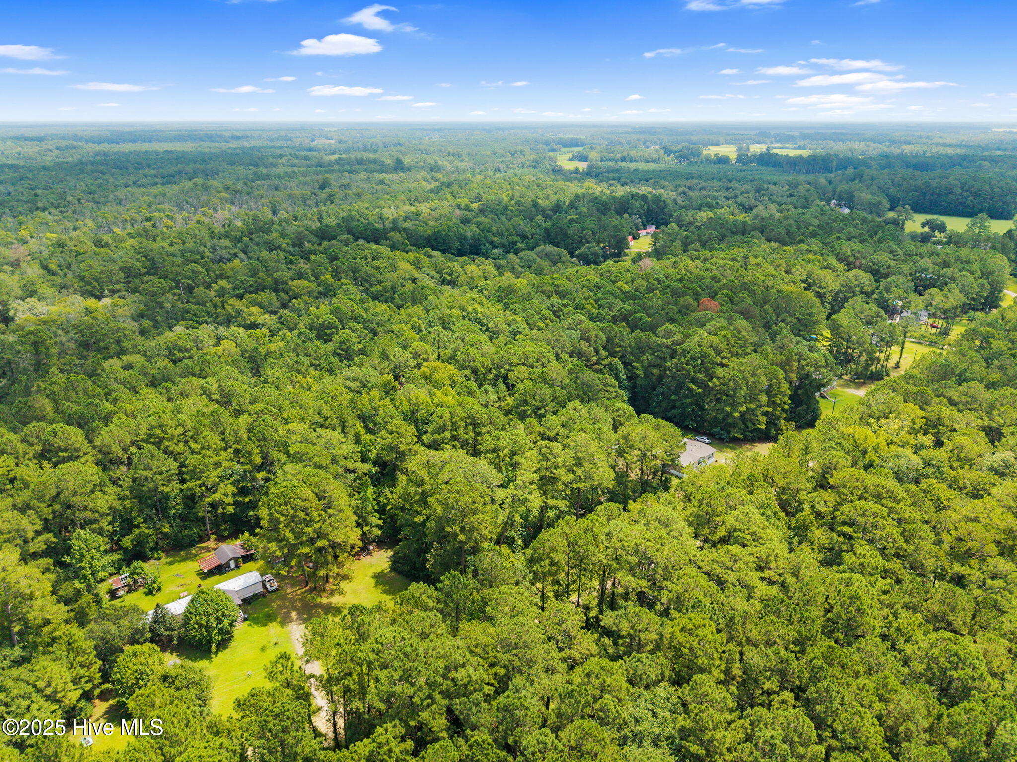 100521976 | Photo 11