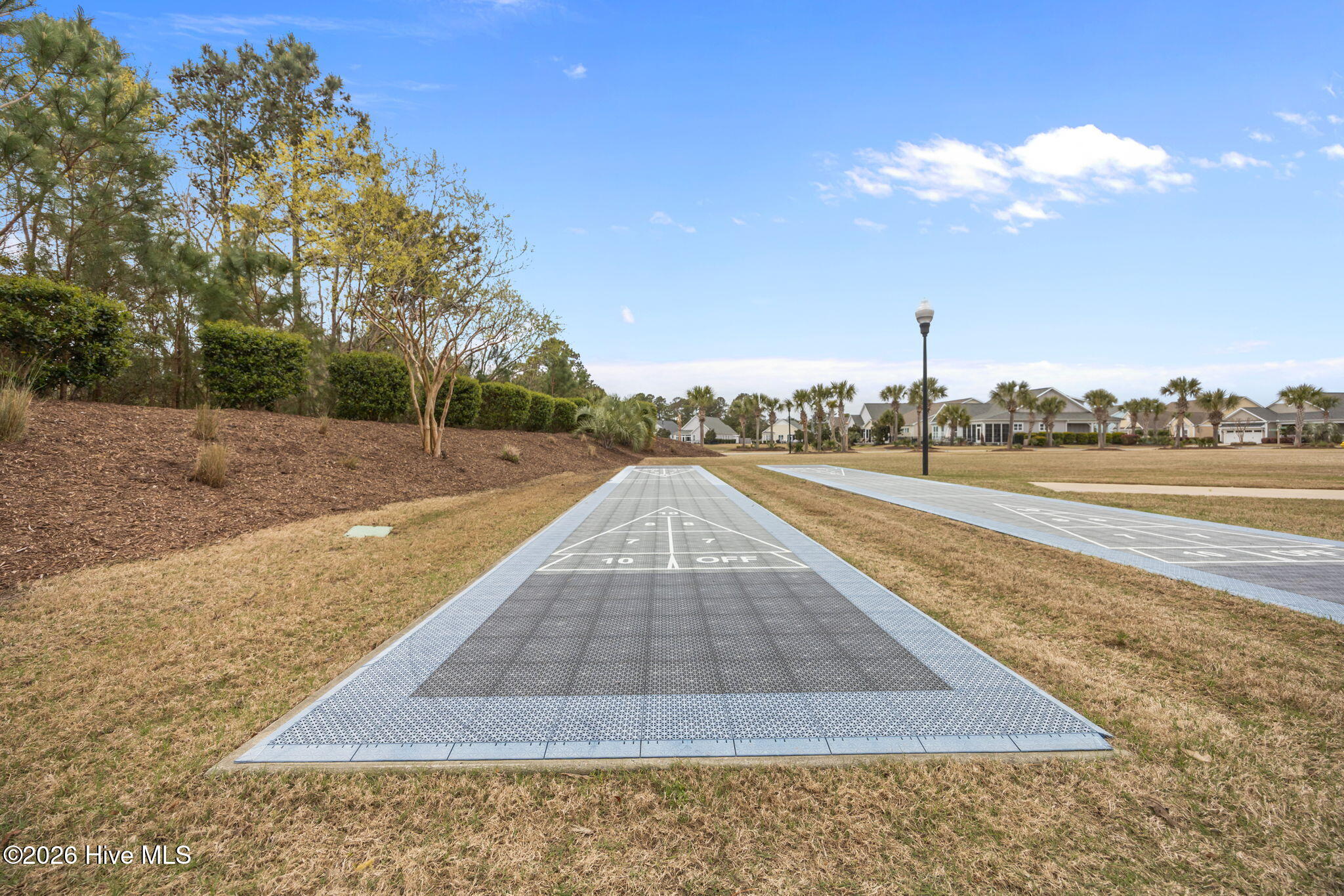 100563042 | Photo 45