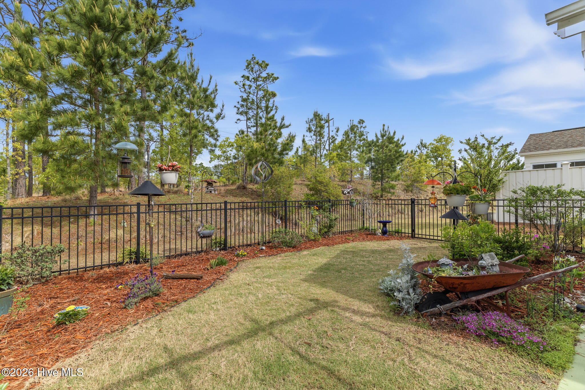 100565858 | Photo 40