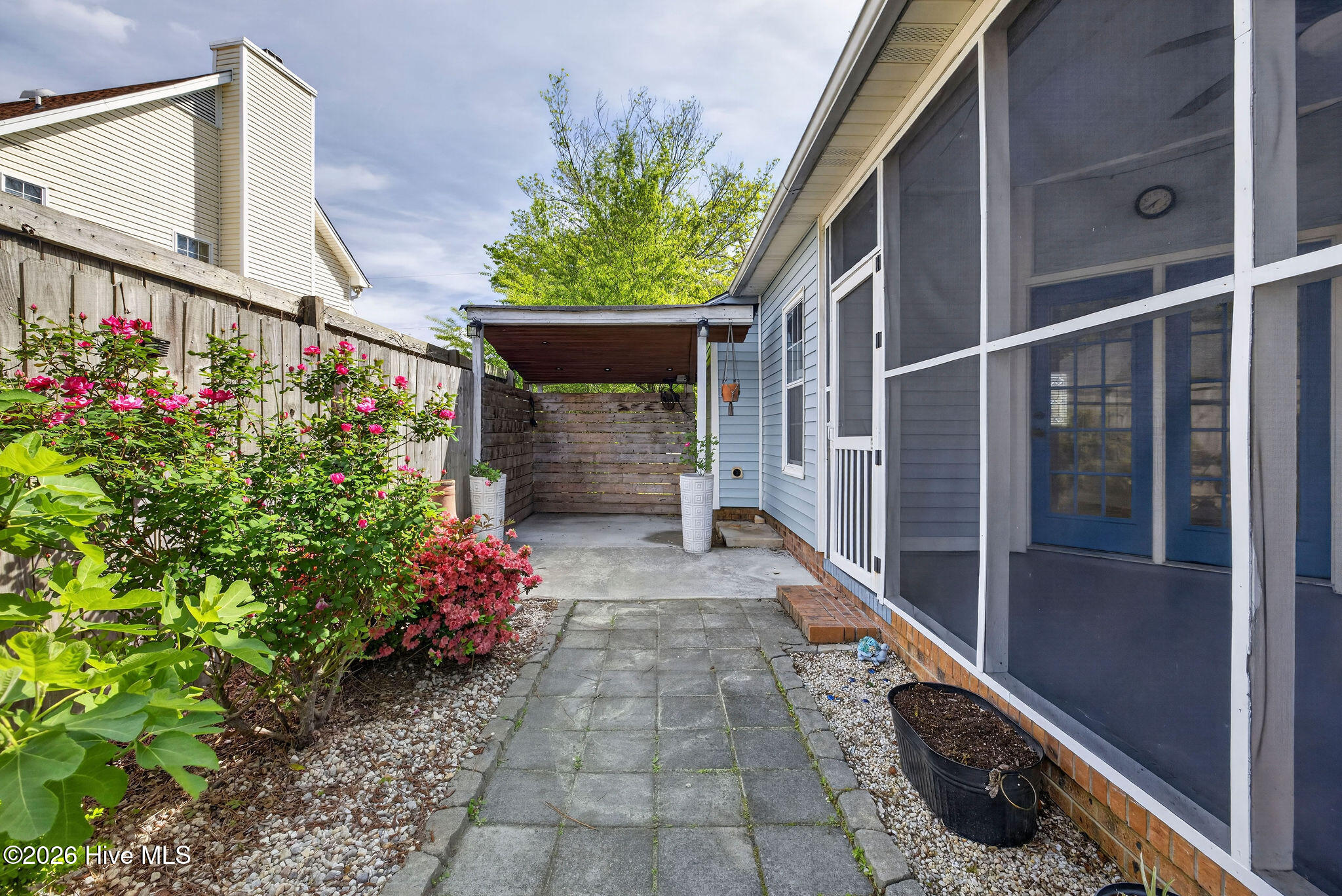 100567707 | Photo 13