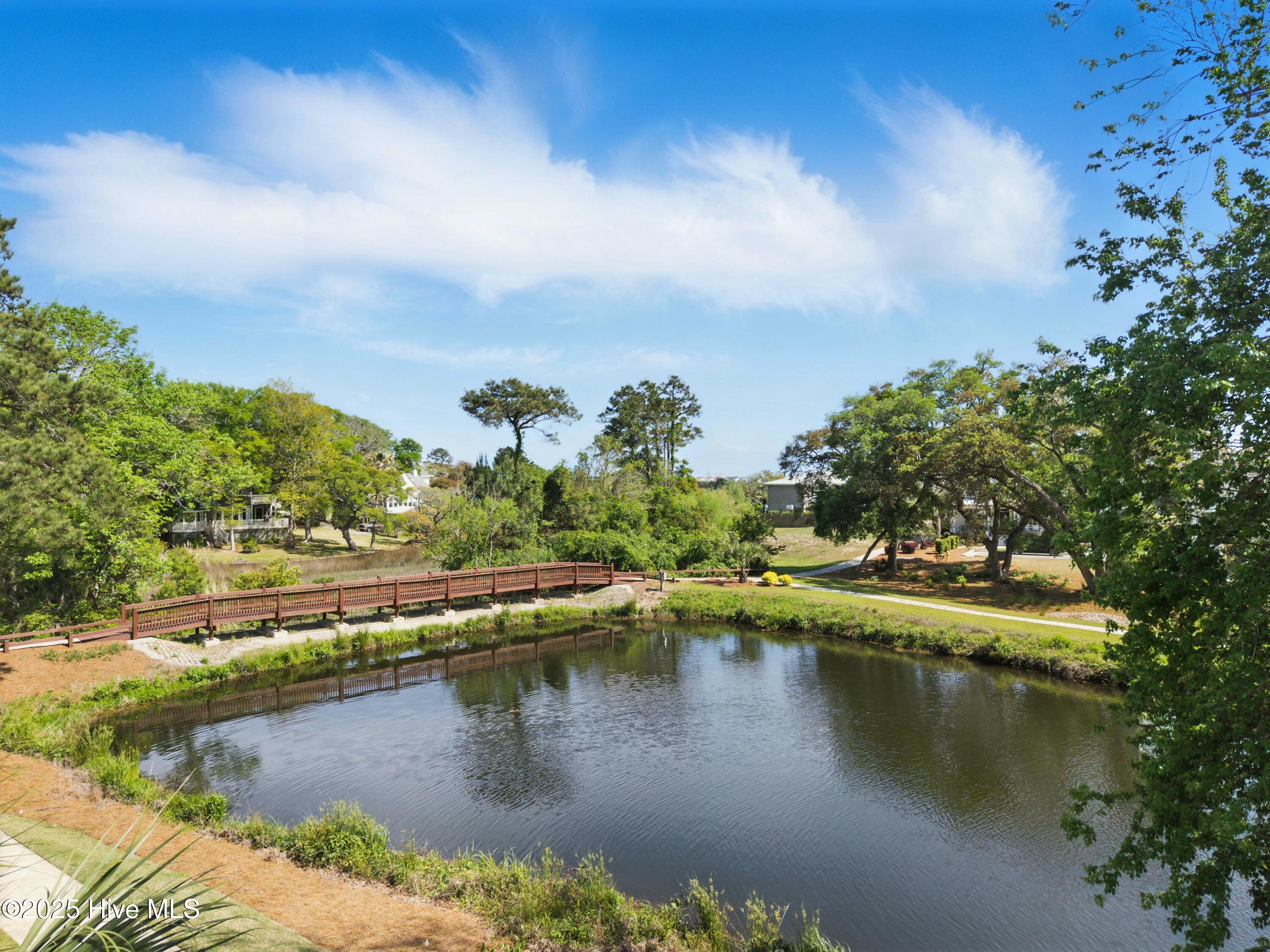 100503387 | Photo 36