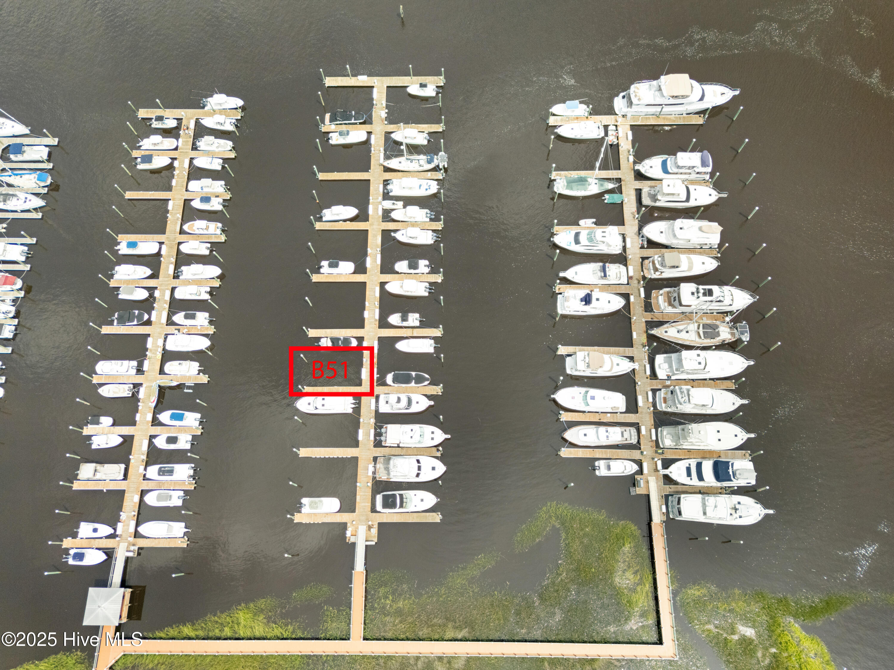 100527237 | Photo 54