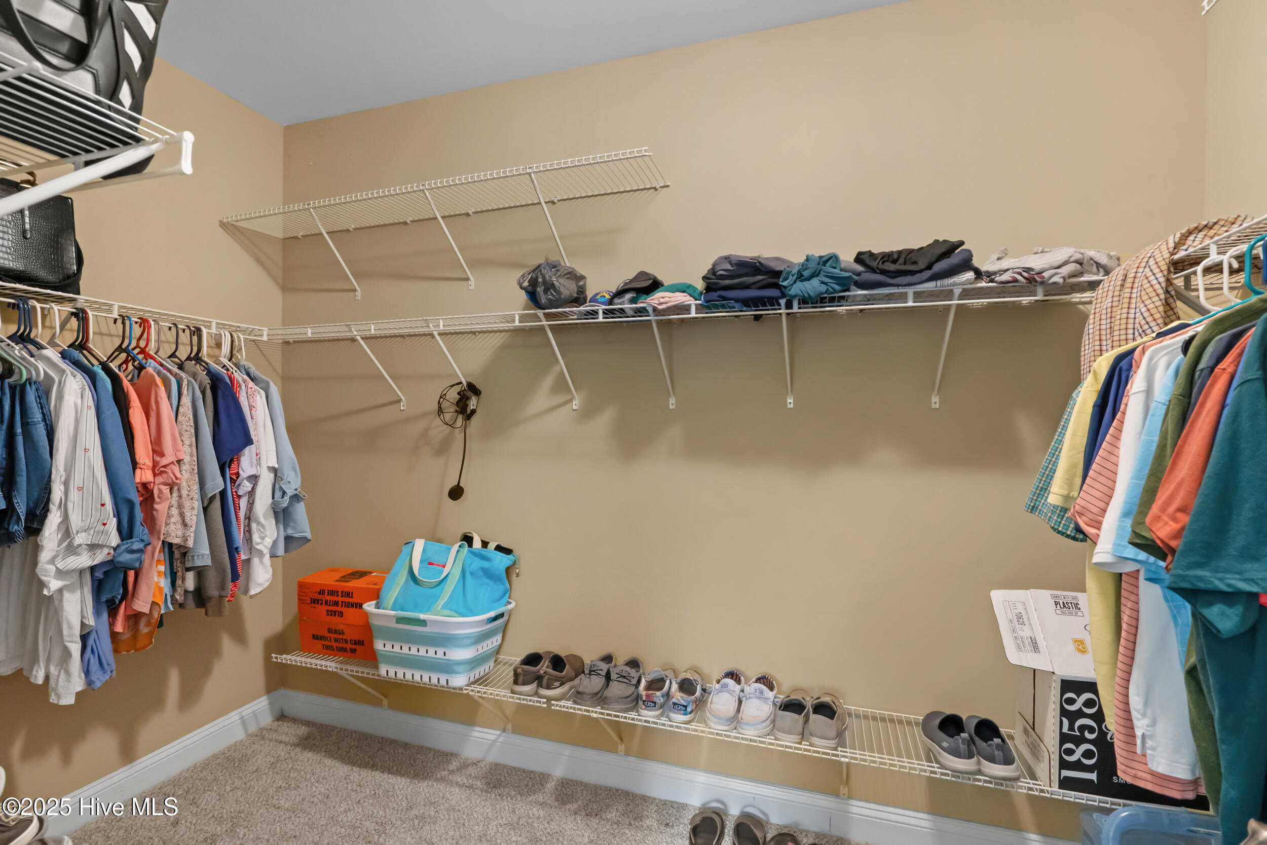 100527914 | Photo 20