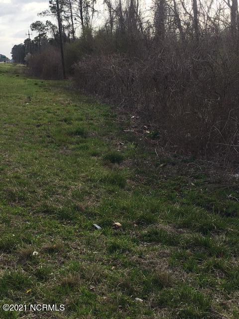 Tbd Us 17 Highway,Maysville