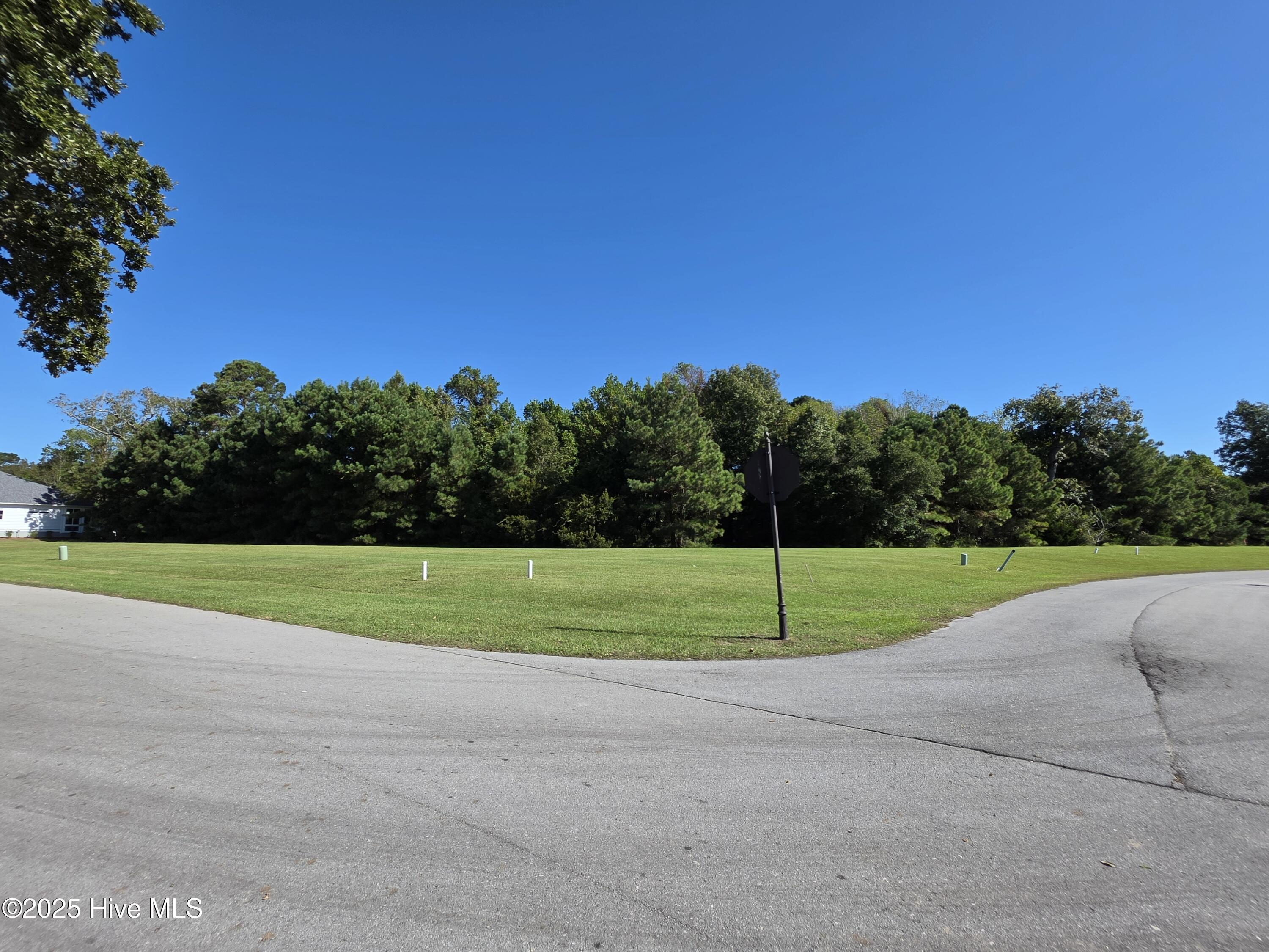 100564274 | Photo 30