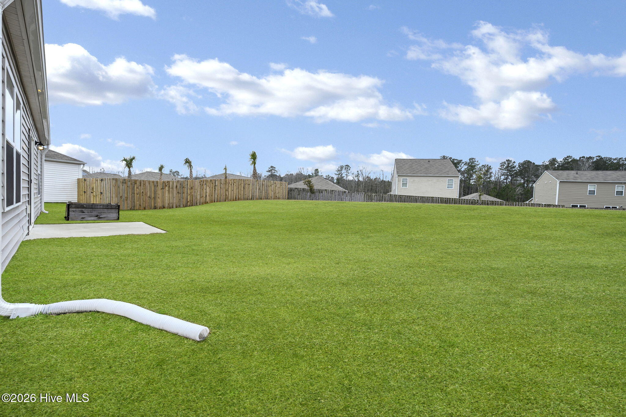 100564781 | Photo 25