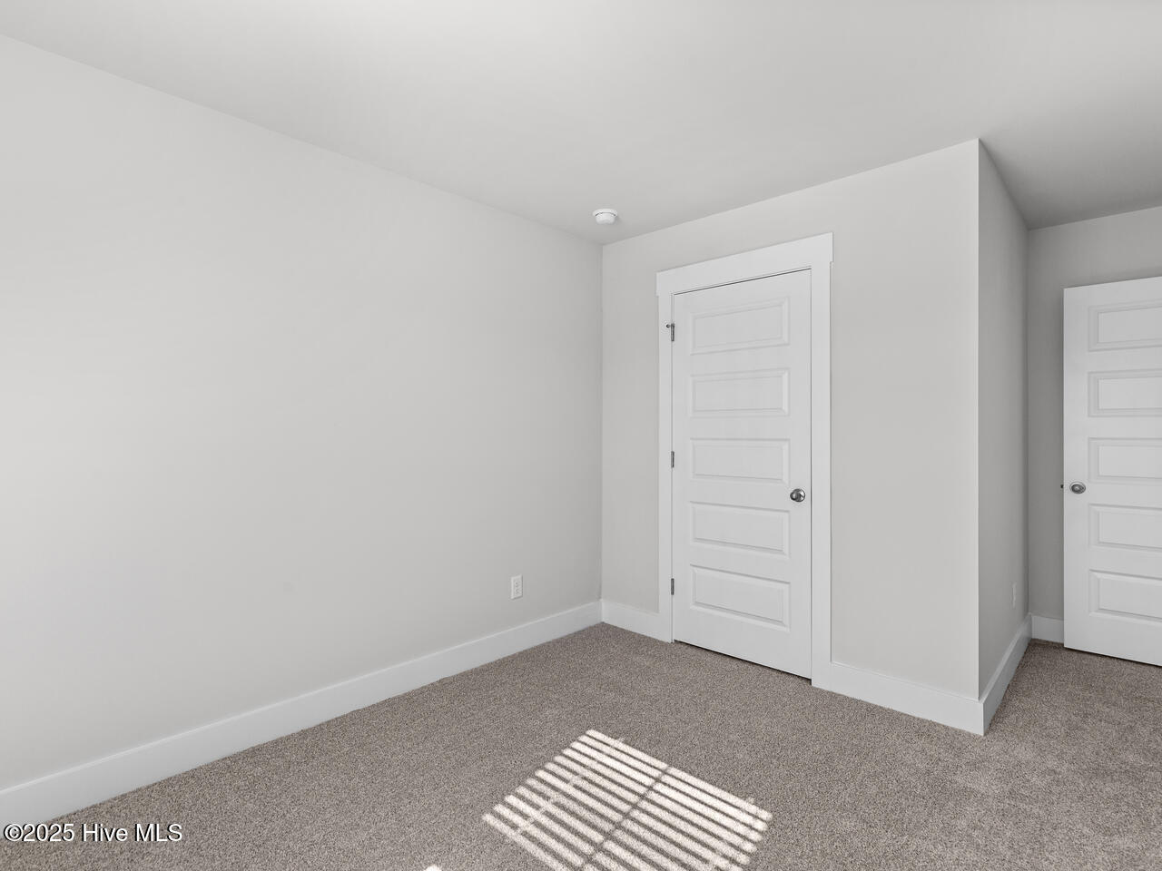 100539196 | Photo 26