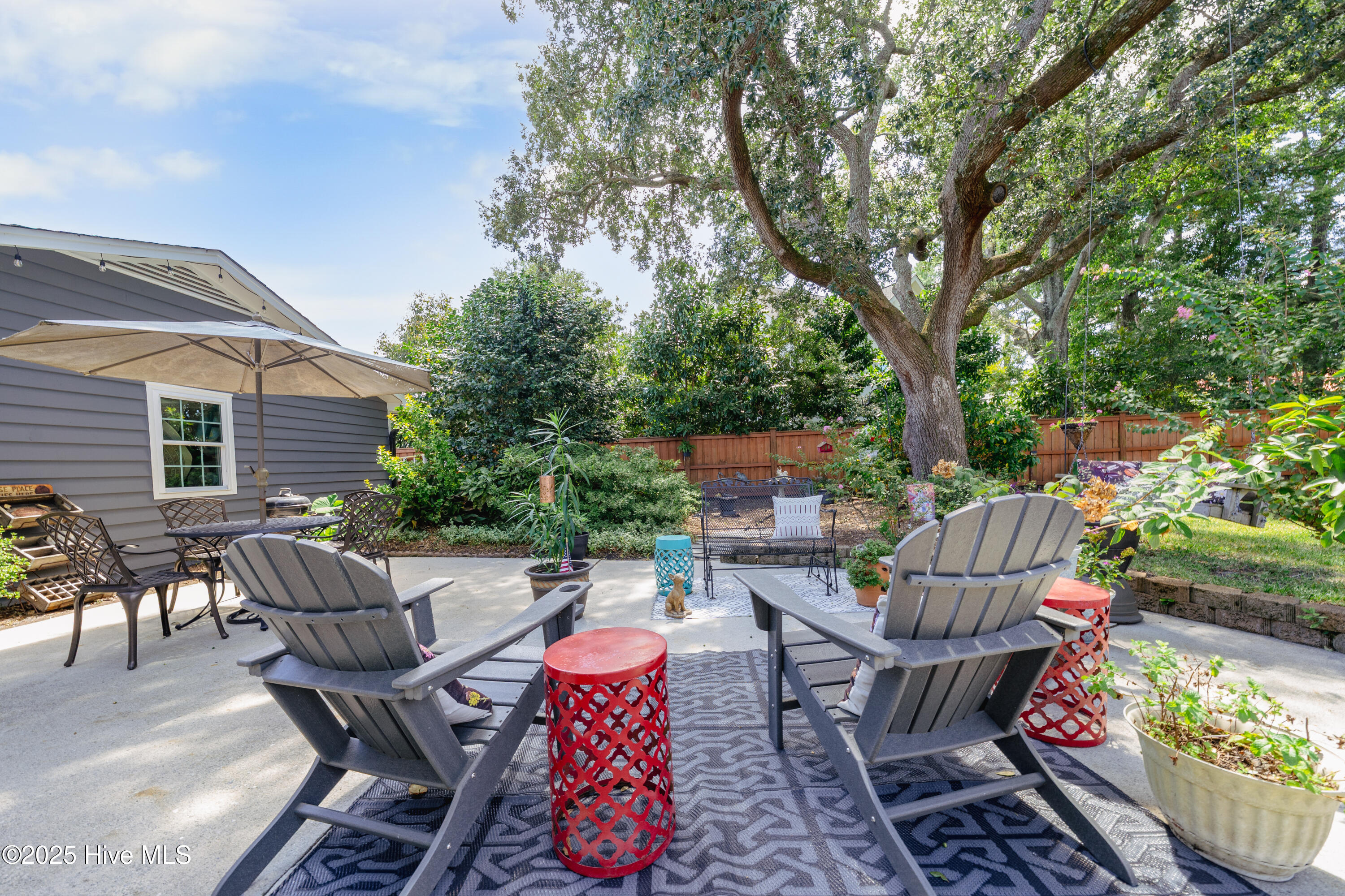 100557788 | Photo 21