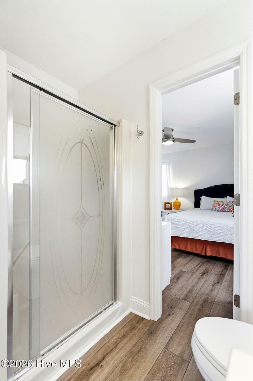 100567797 | Photo 31