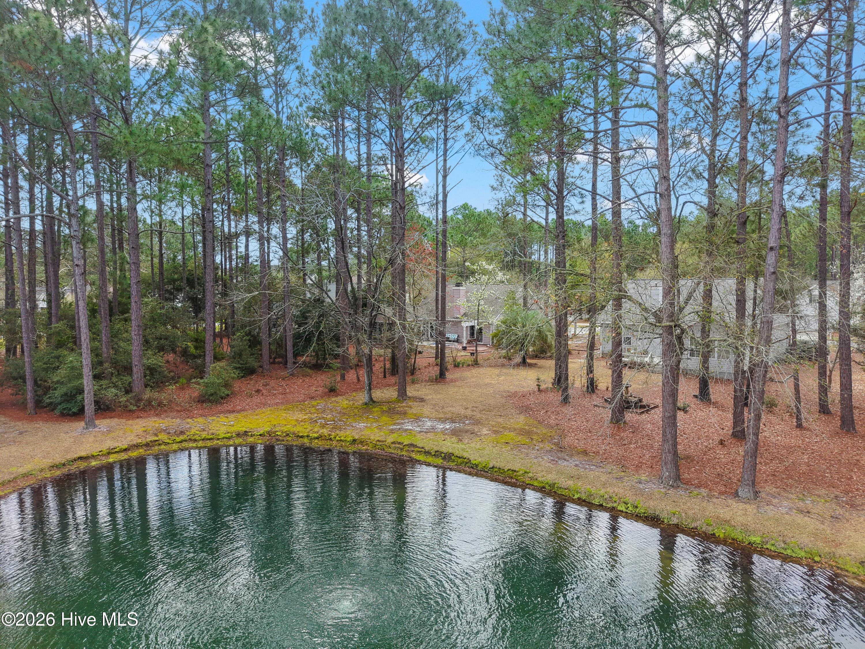 100559952 | Photo 44