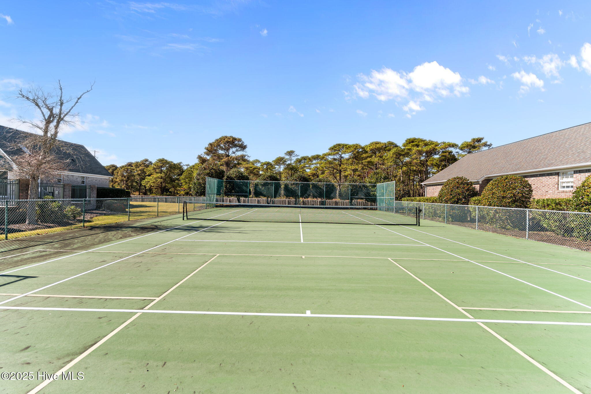 100543874 | Photo 41