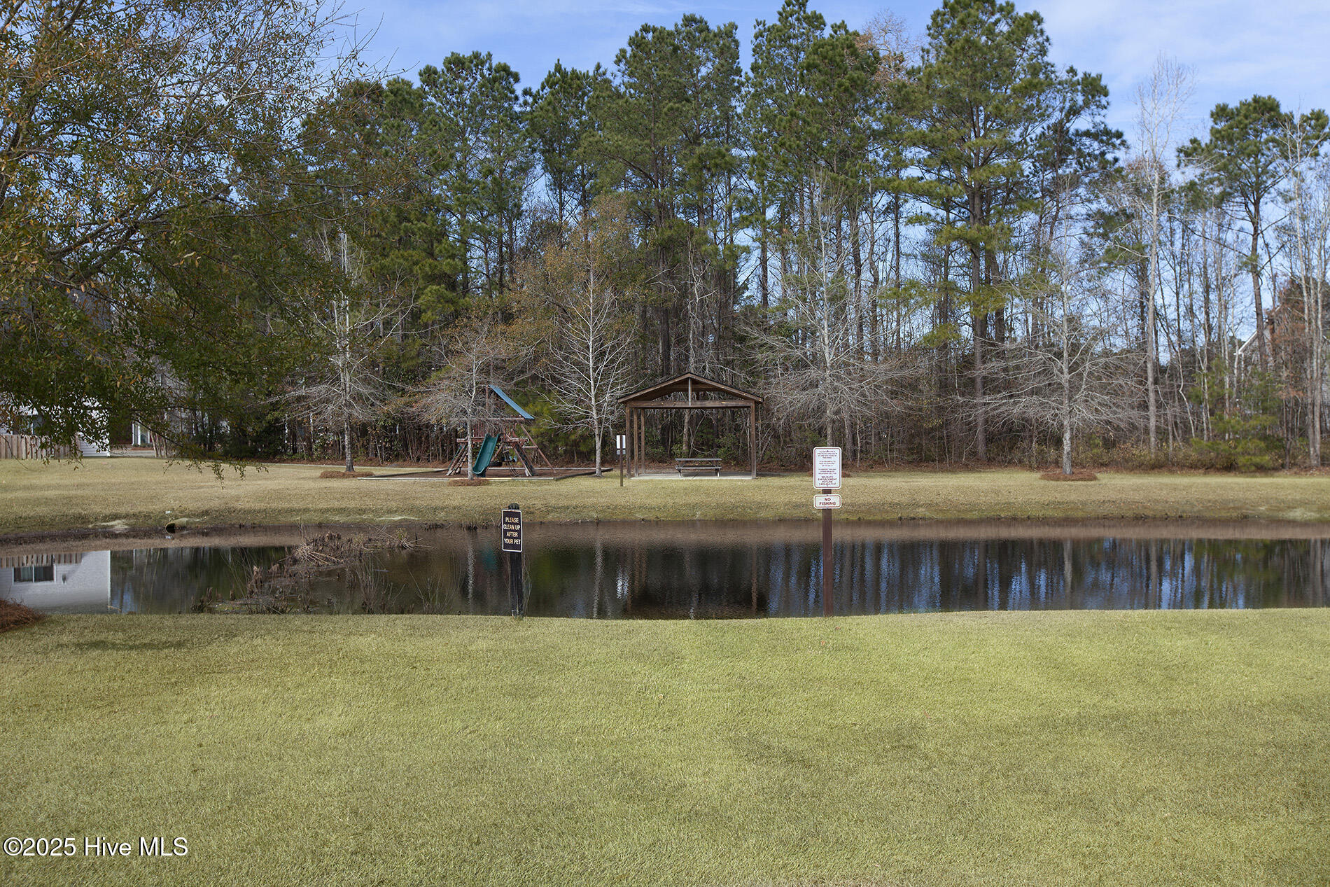 100526047 | Photo 34