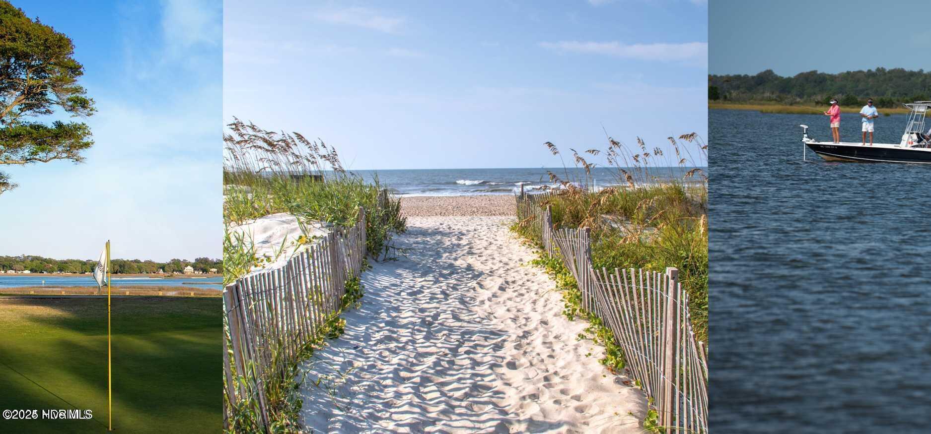 100505939 | Photo 102