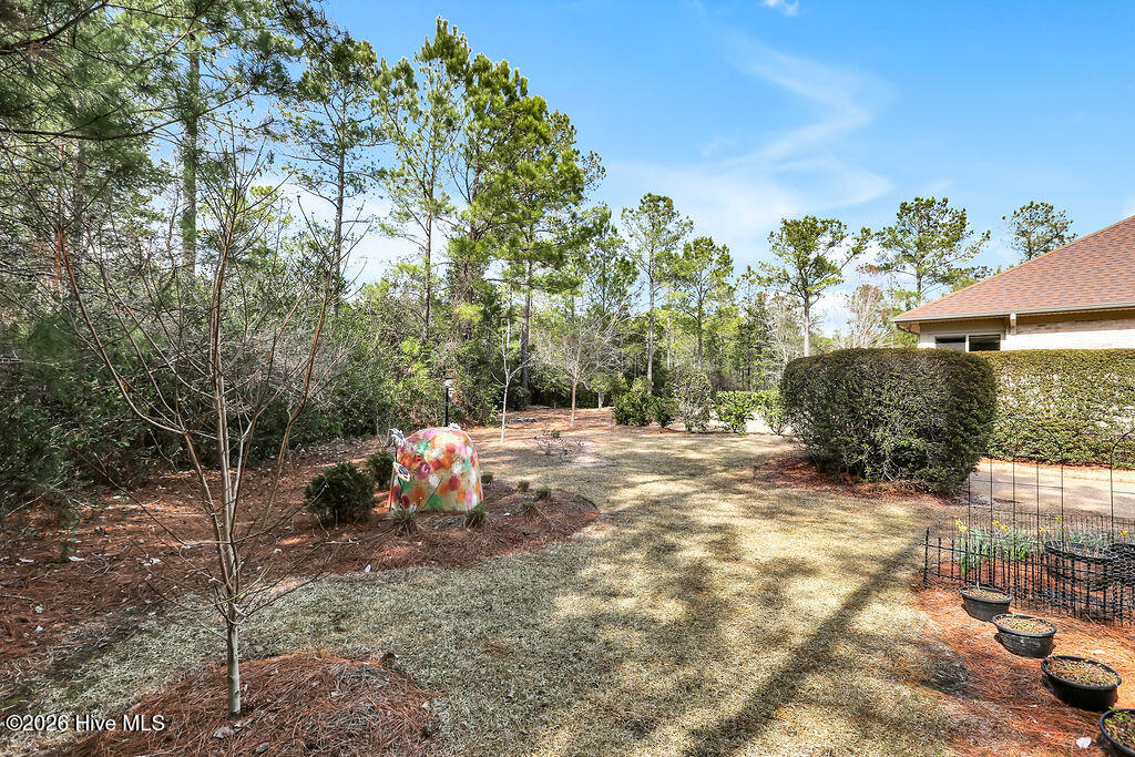 100548295 | Photo 56