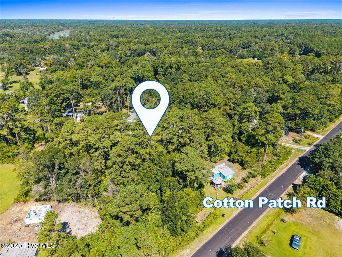 100538568 | Photo 19