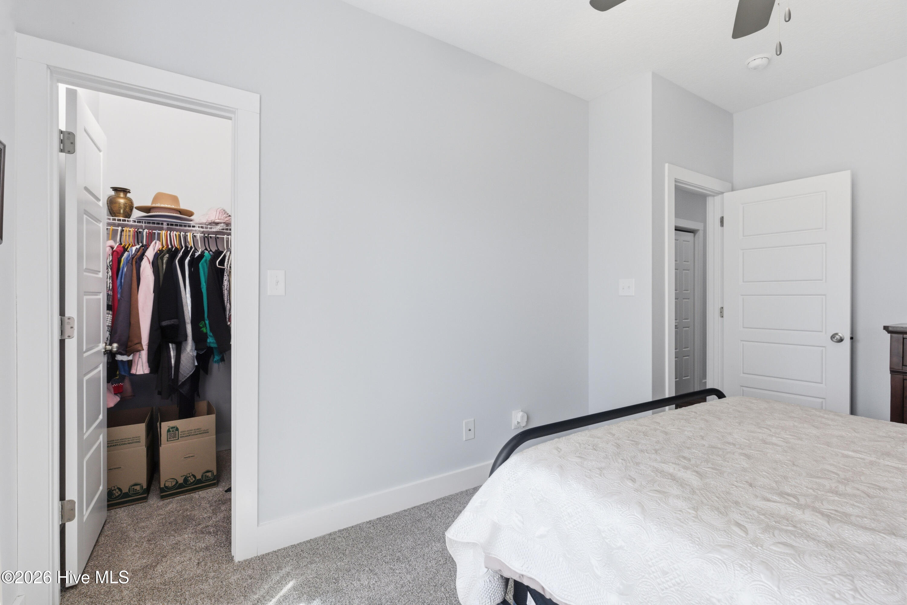 100563821 | Photo 33