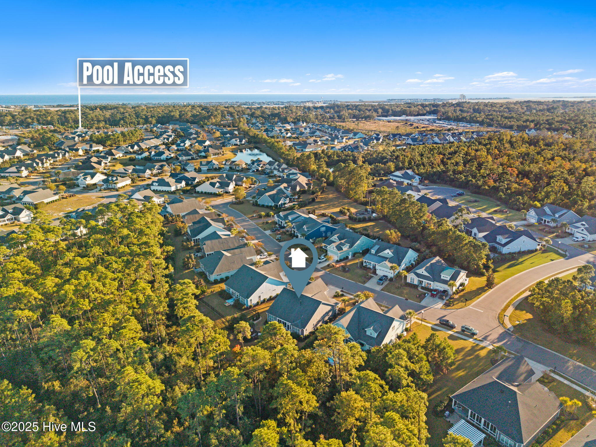 100539203 | Photo 56