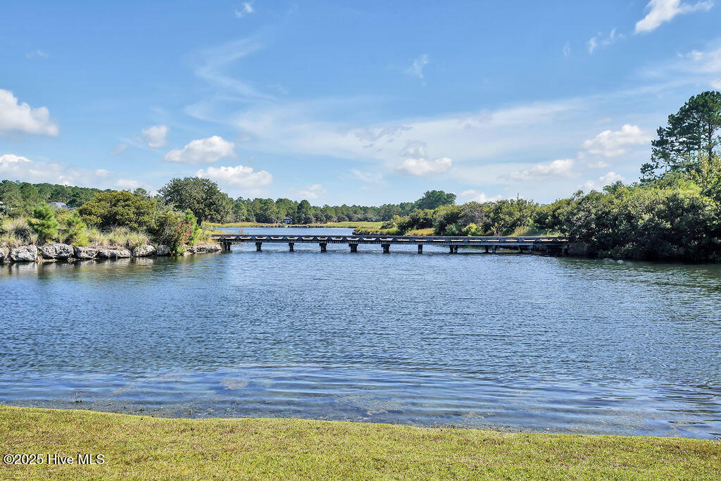 100535984 | Photo 114