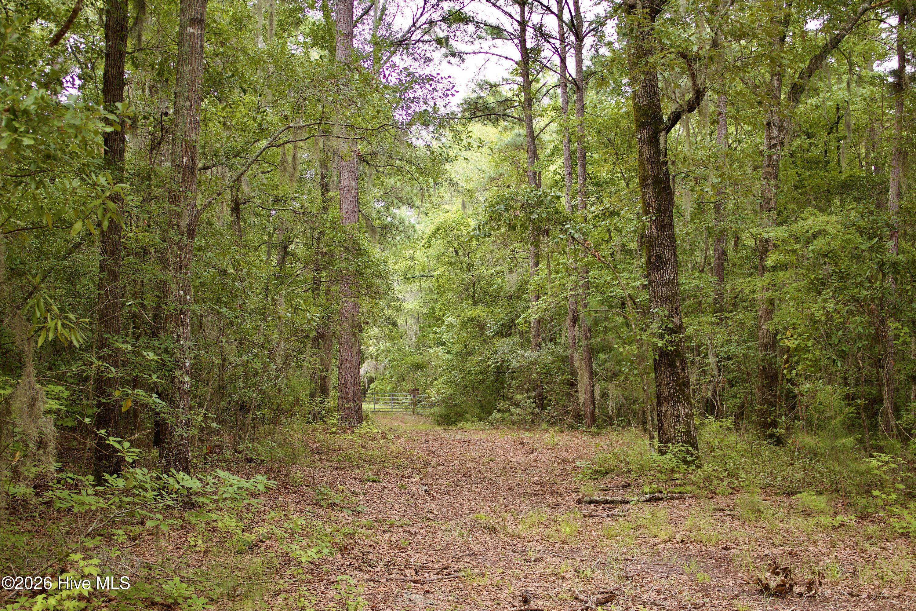 385 Sand Ridge Road,New Bern