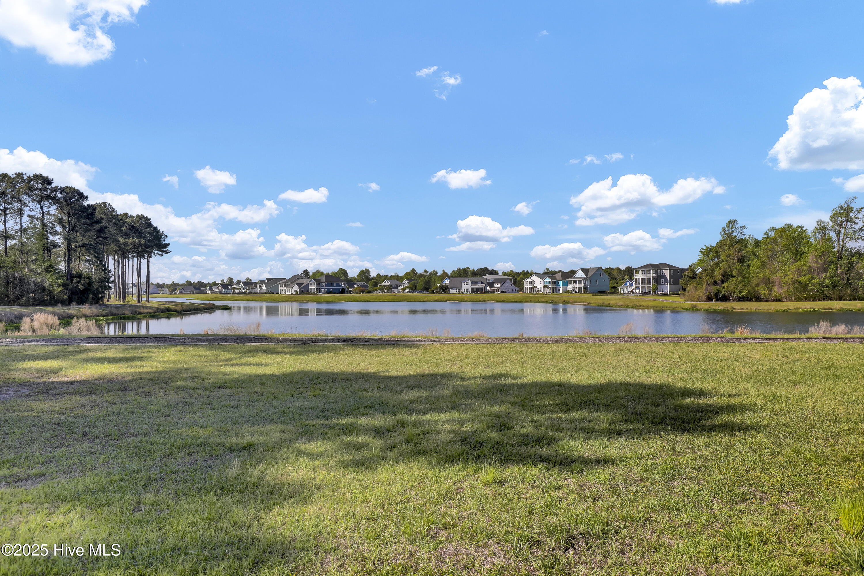 100565808 | Photo 28