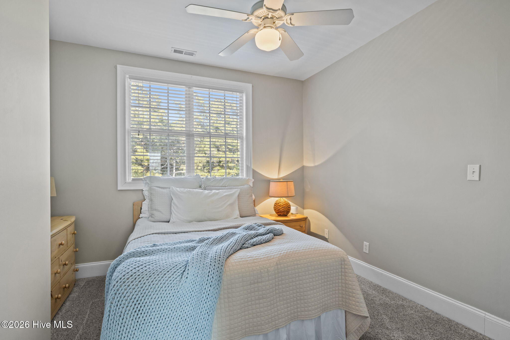 100554382 | Photo 33