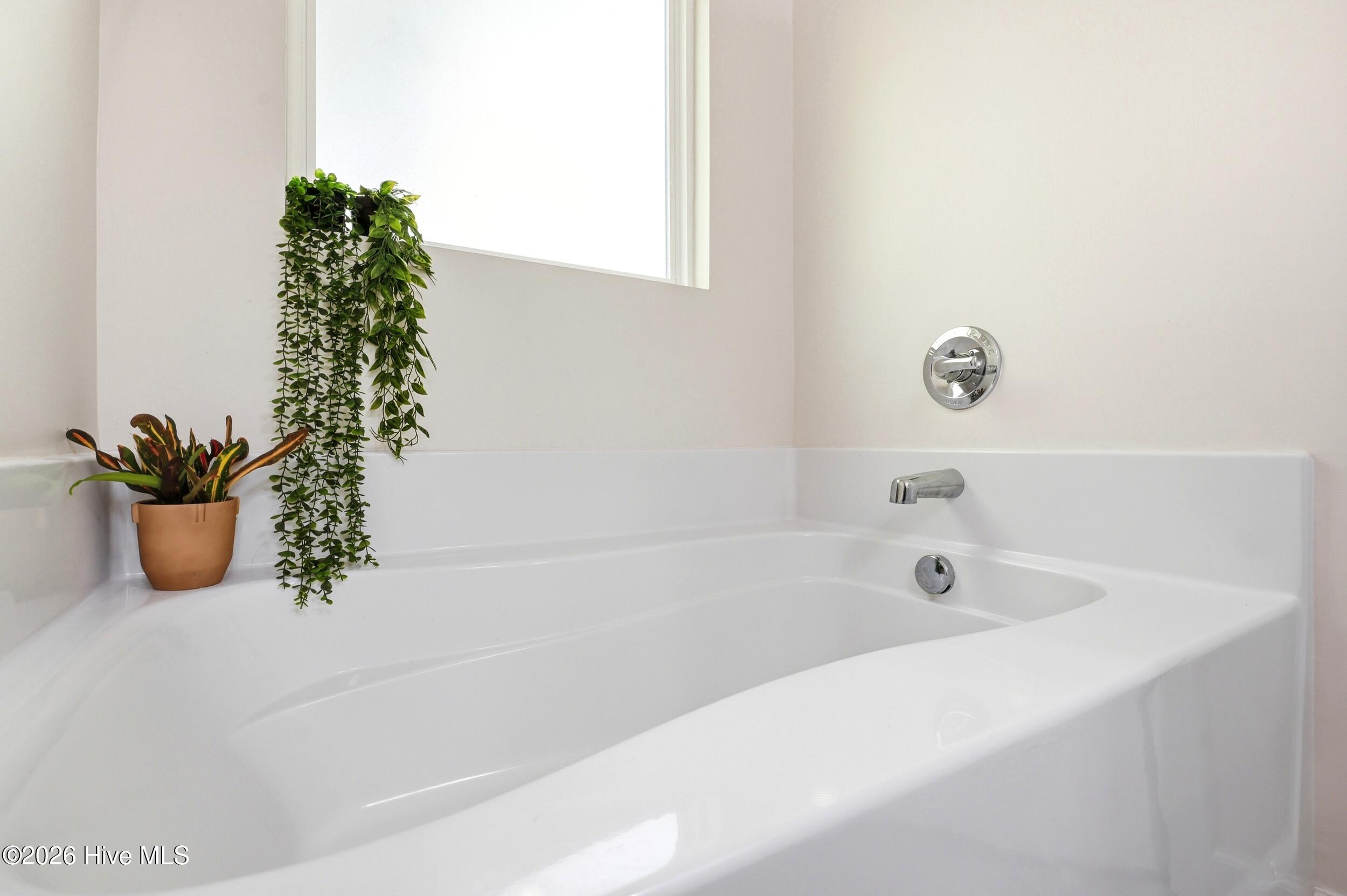 100568346 | Photo 23