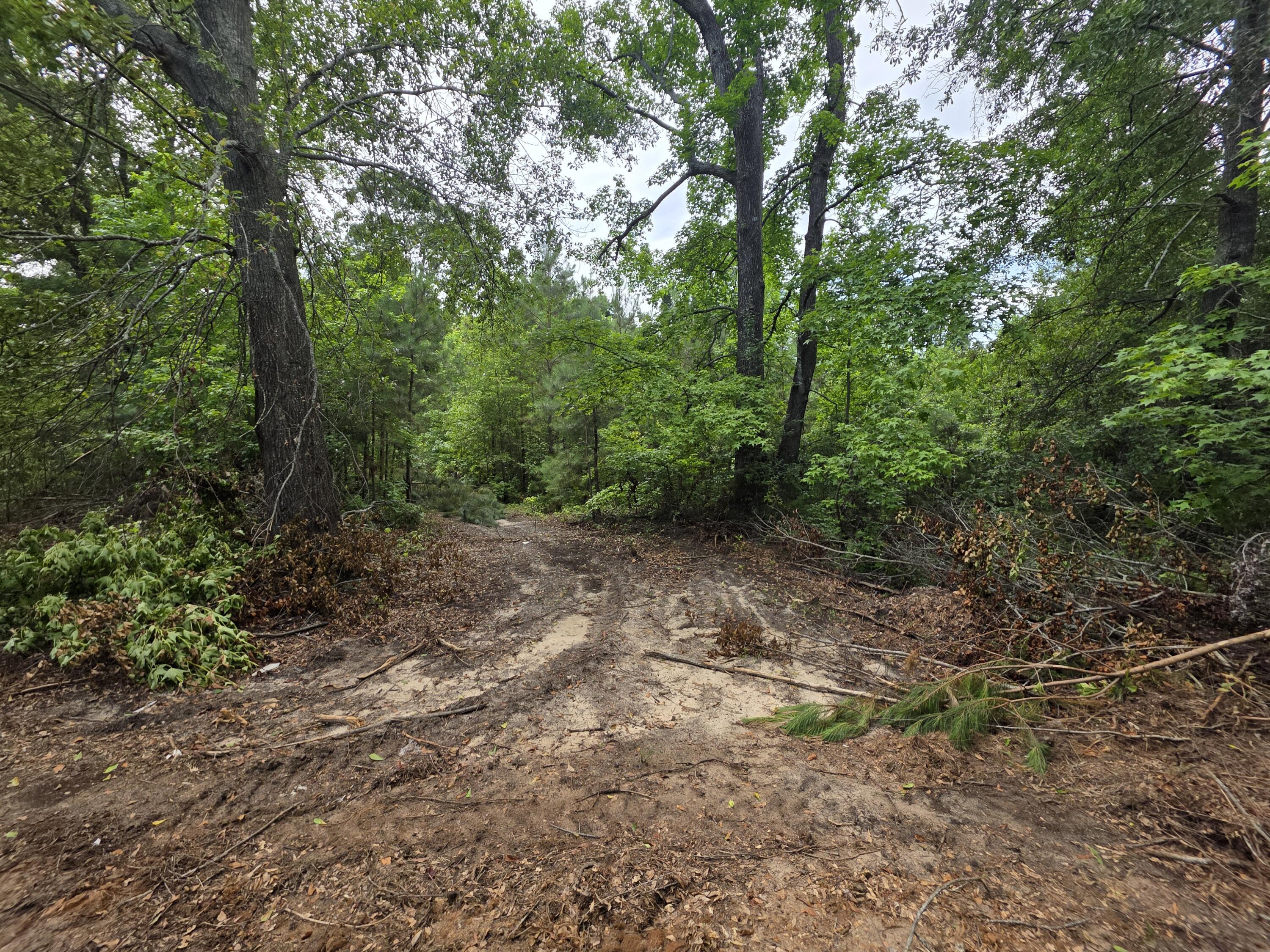 2039 Mcdade Farm Road, Hephzibah, GA, 30815