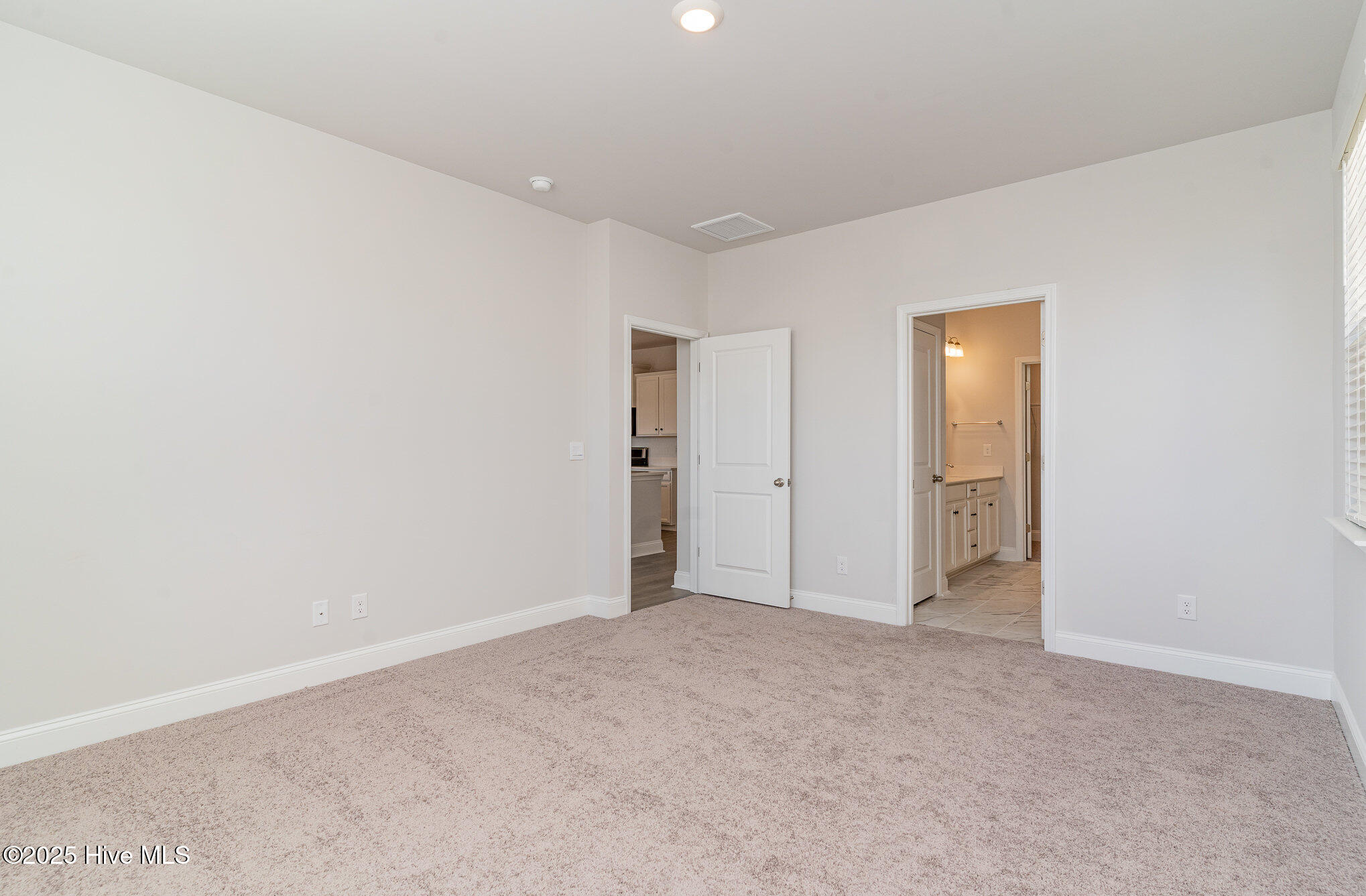 100518804 | Photo 11