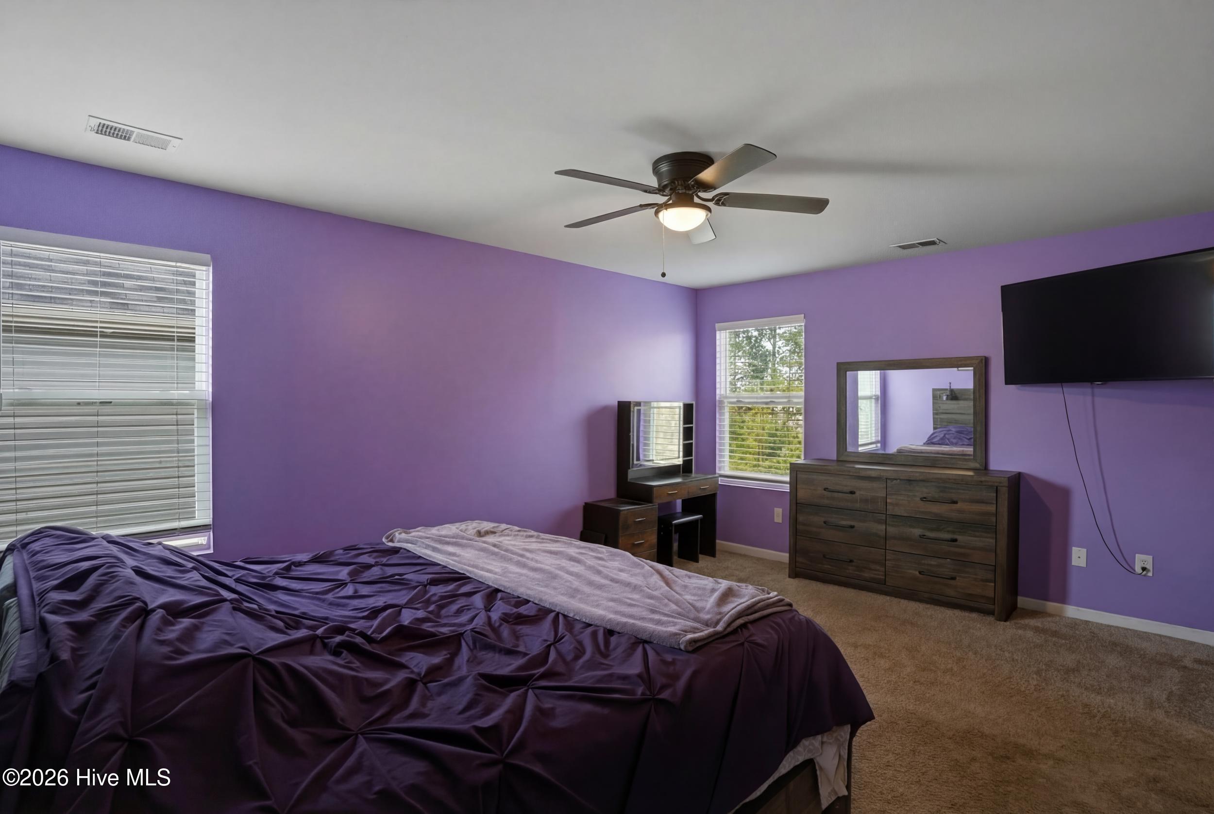 100556513 | Photo 24