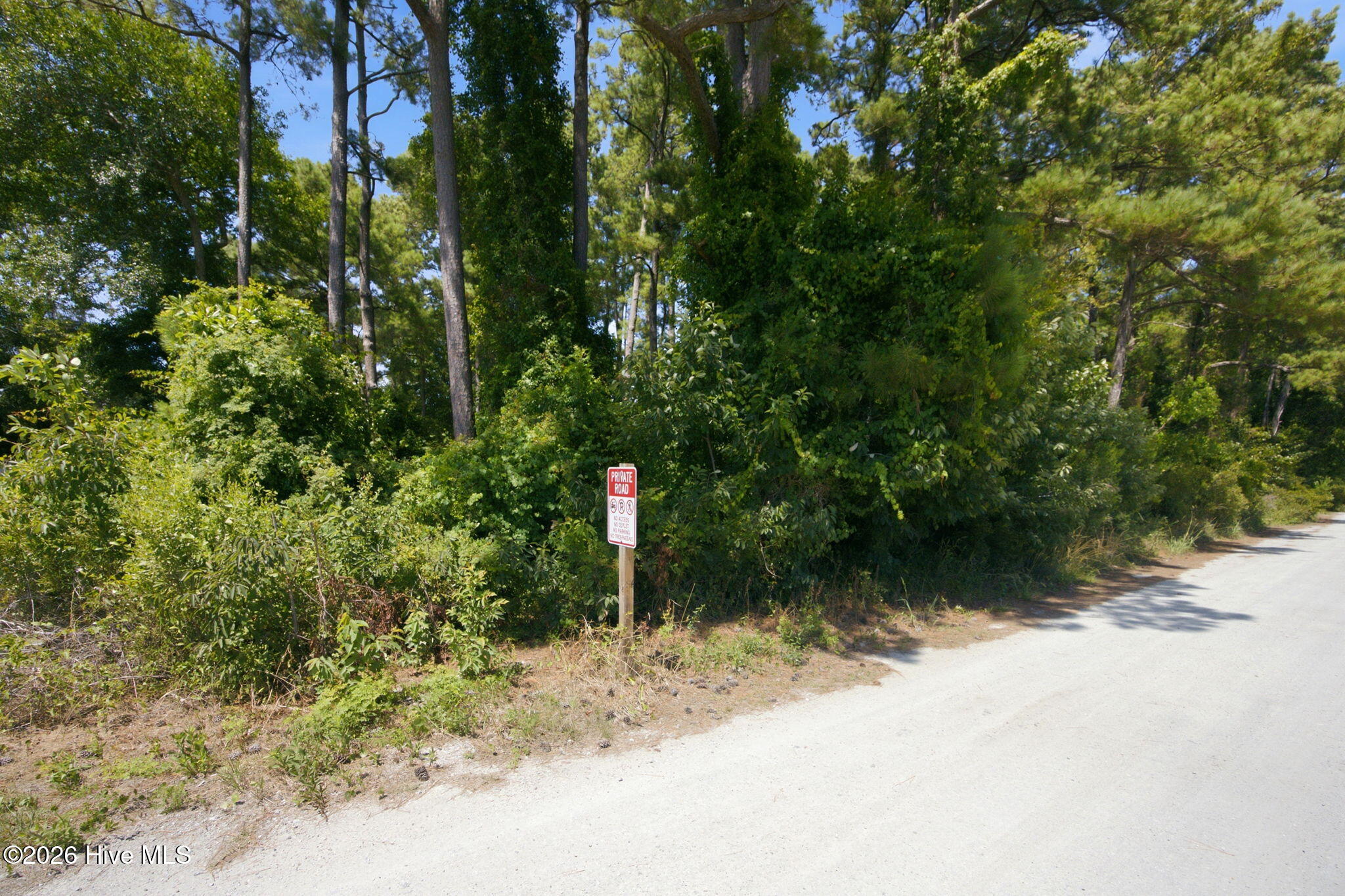 100590452 | Photo 7