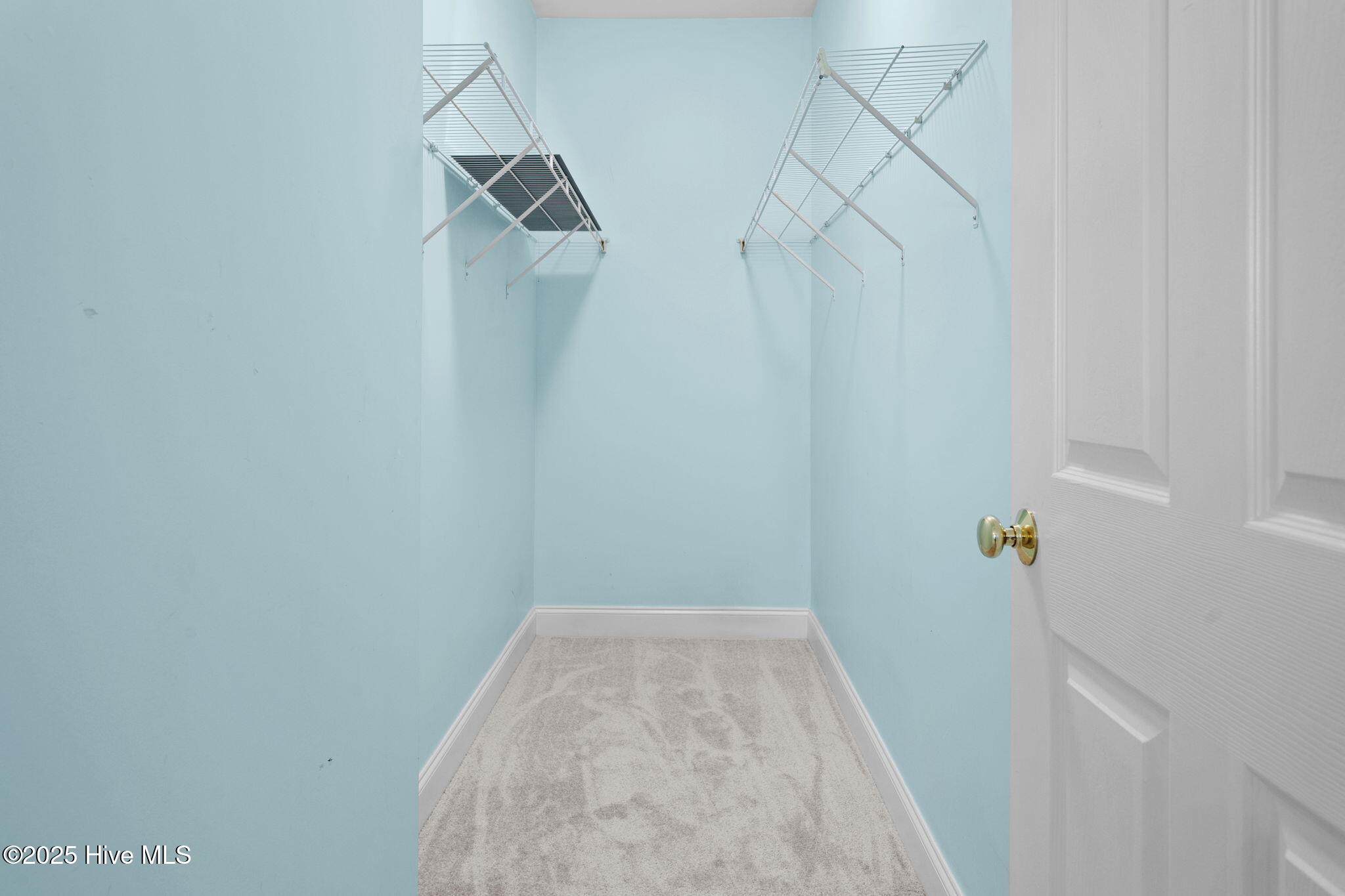 100535127 | Photo 20