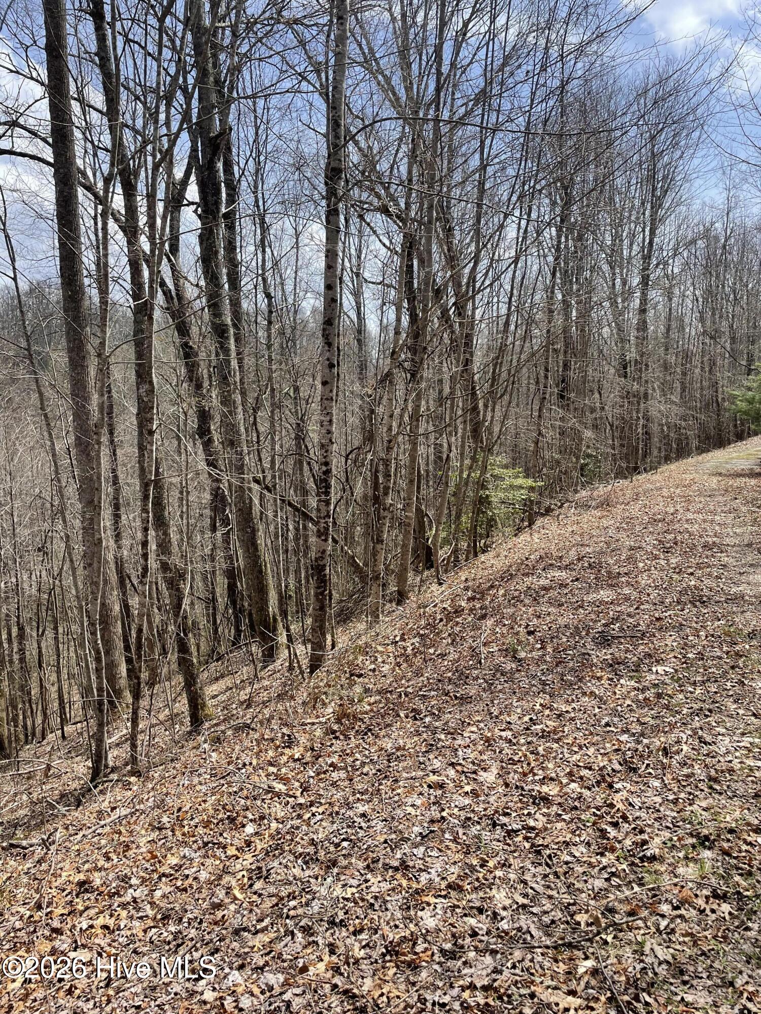 13th image of 11a 11b Hidden Lakes Rd, Topton, NC 28781 | MLS# 100597991