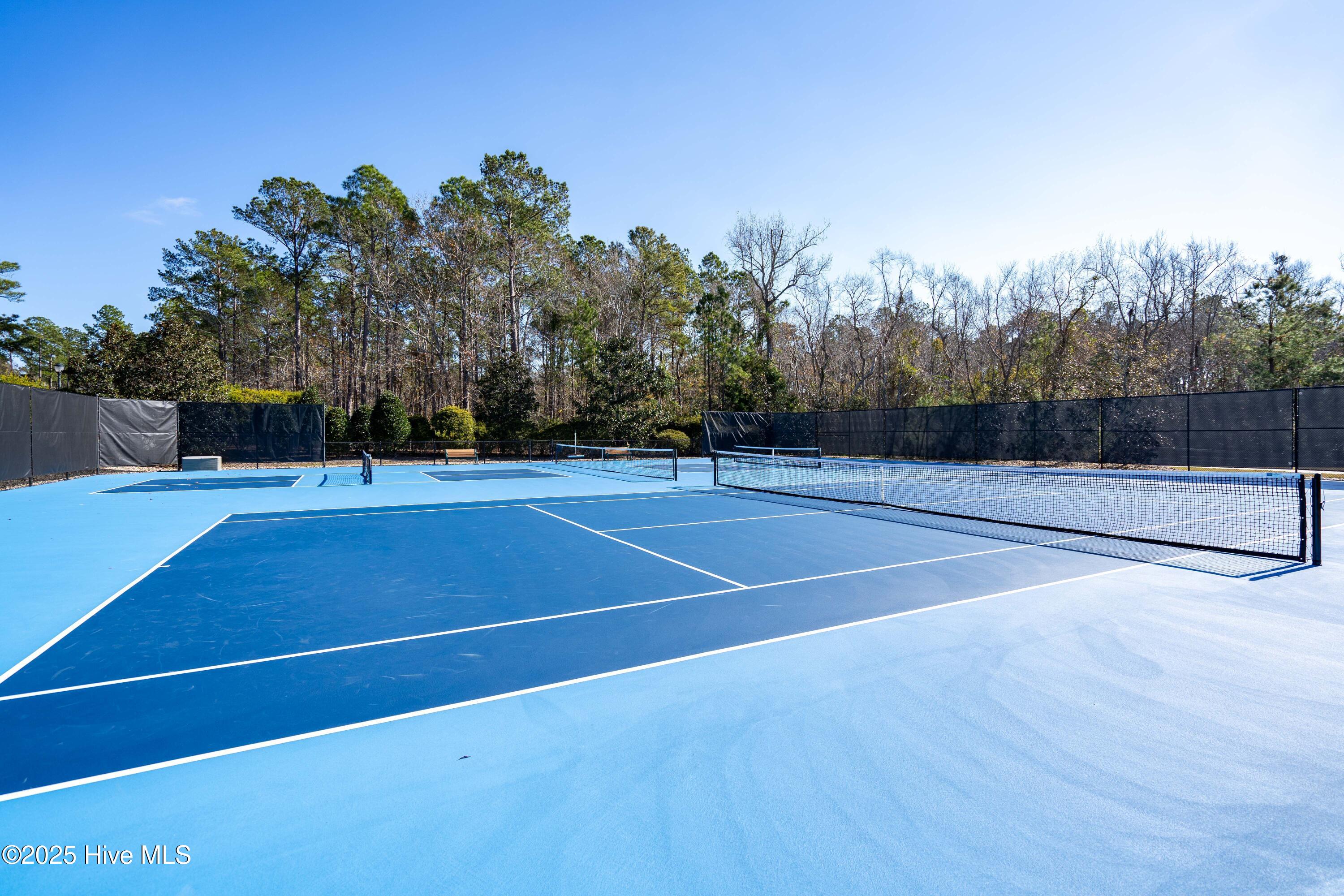 100527669 | Photo 46