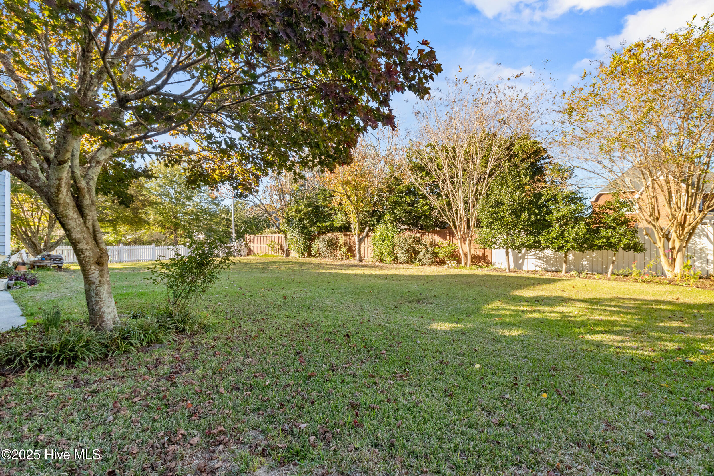 100541075 | Photo 49