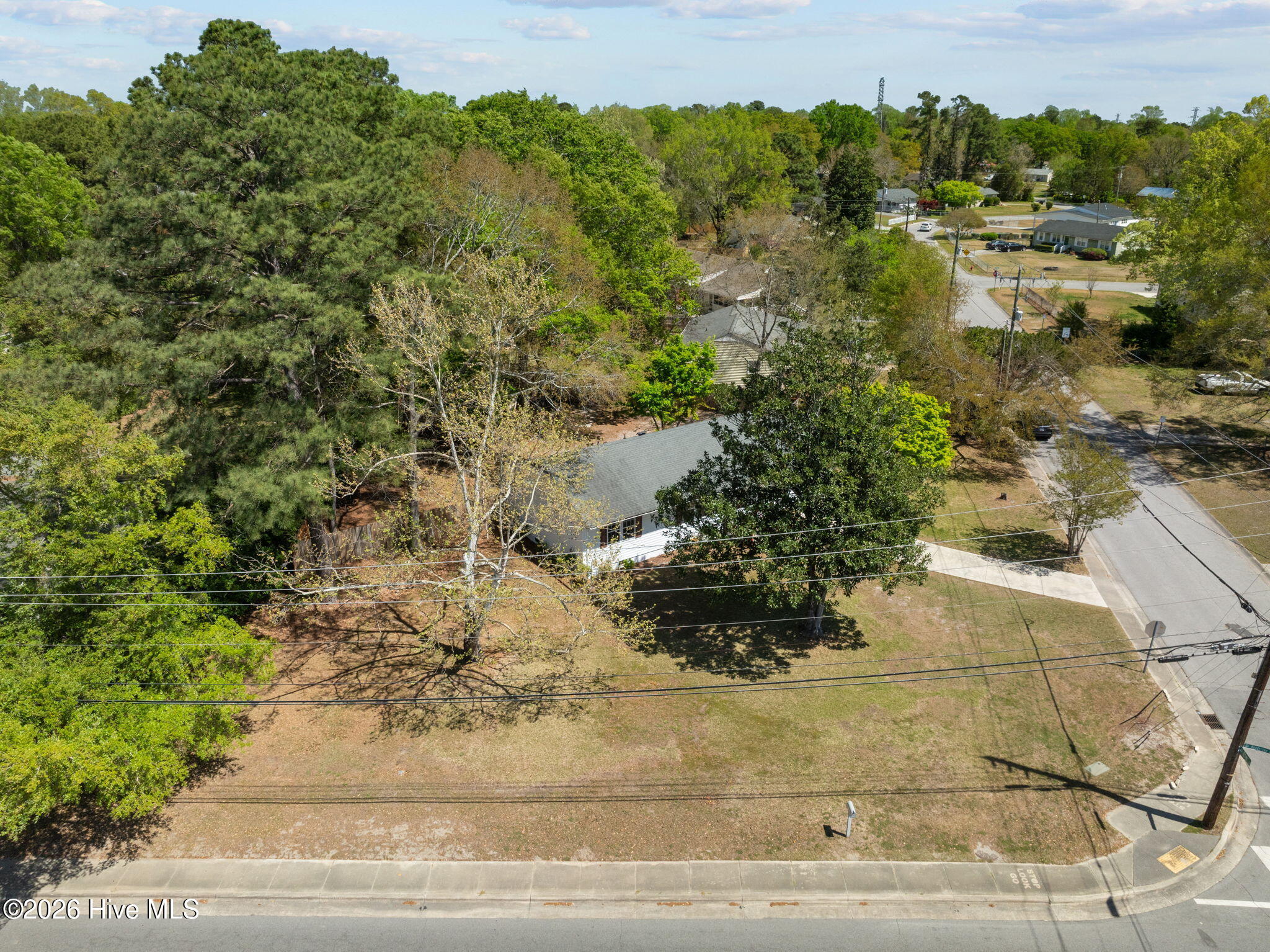 100562753 | Photo 48