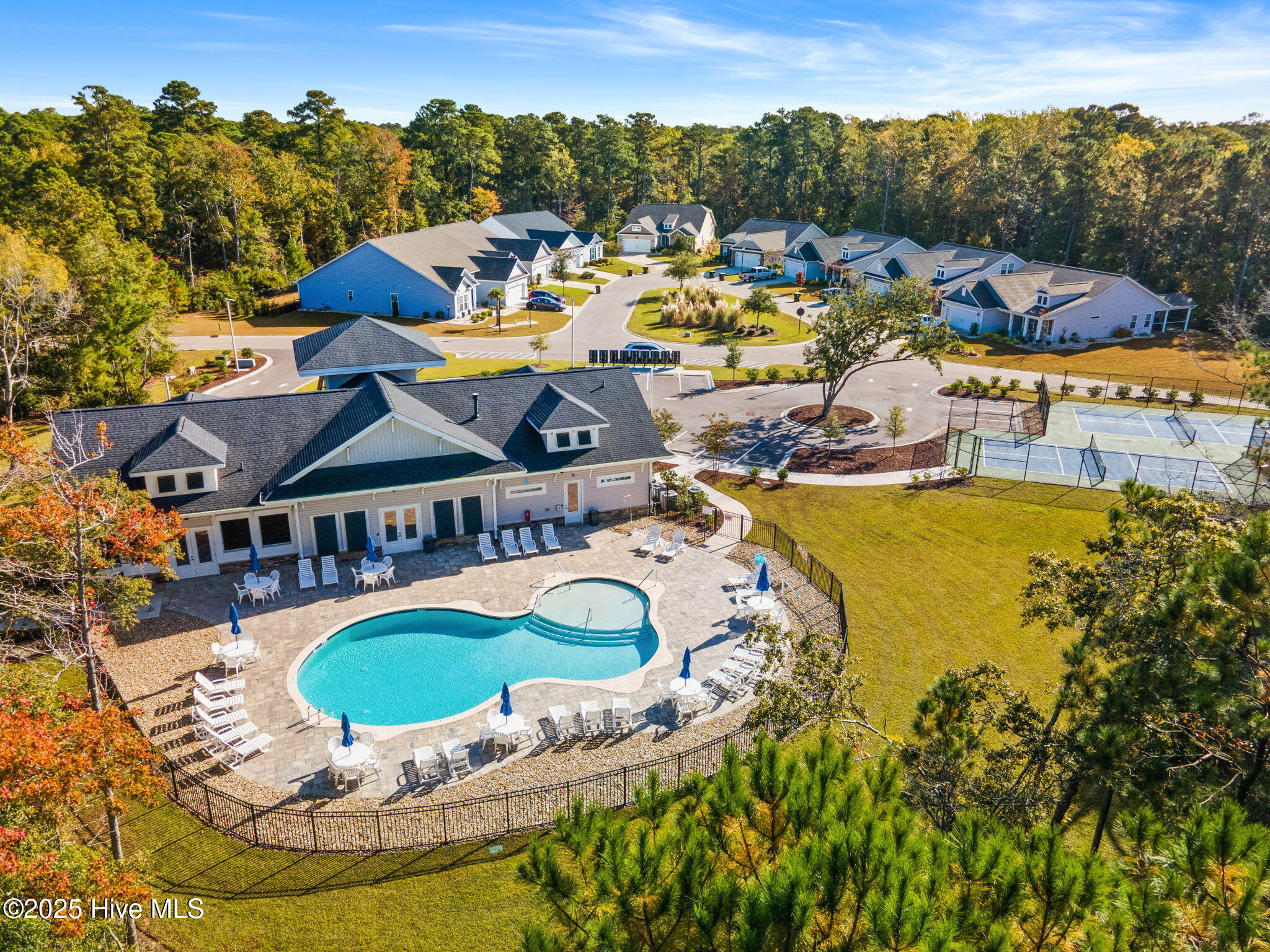 100495537 | Photo 42