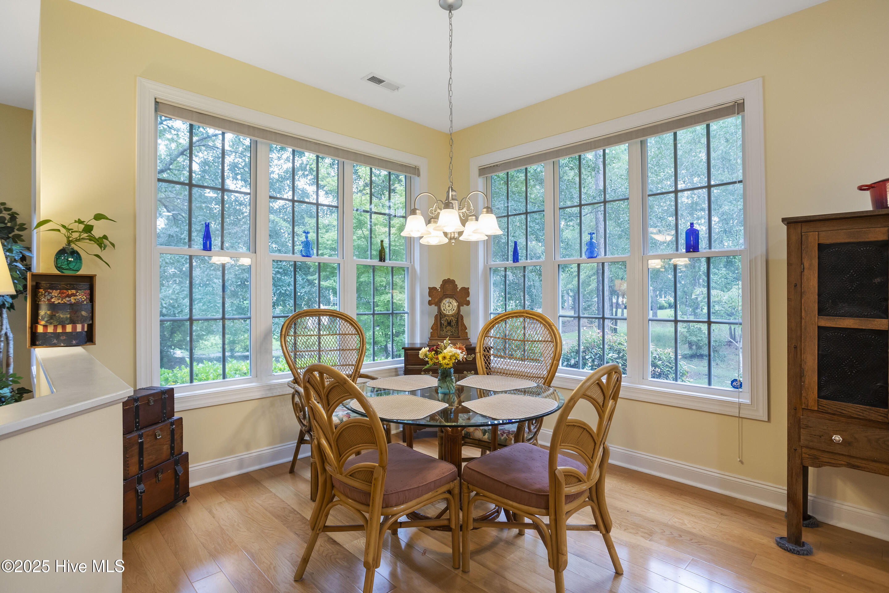 100528316 | Photo 21